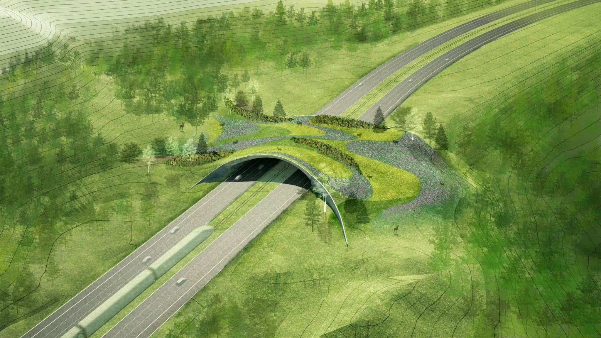 Roaring Fork Safe Passages Aims to Protect Wildlife and Connect High Quality Habitats