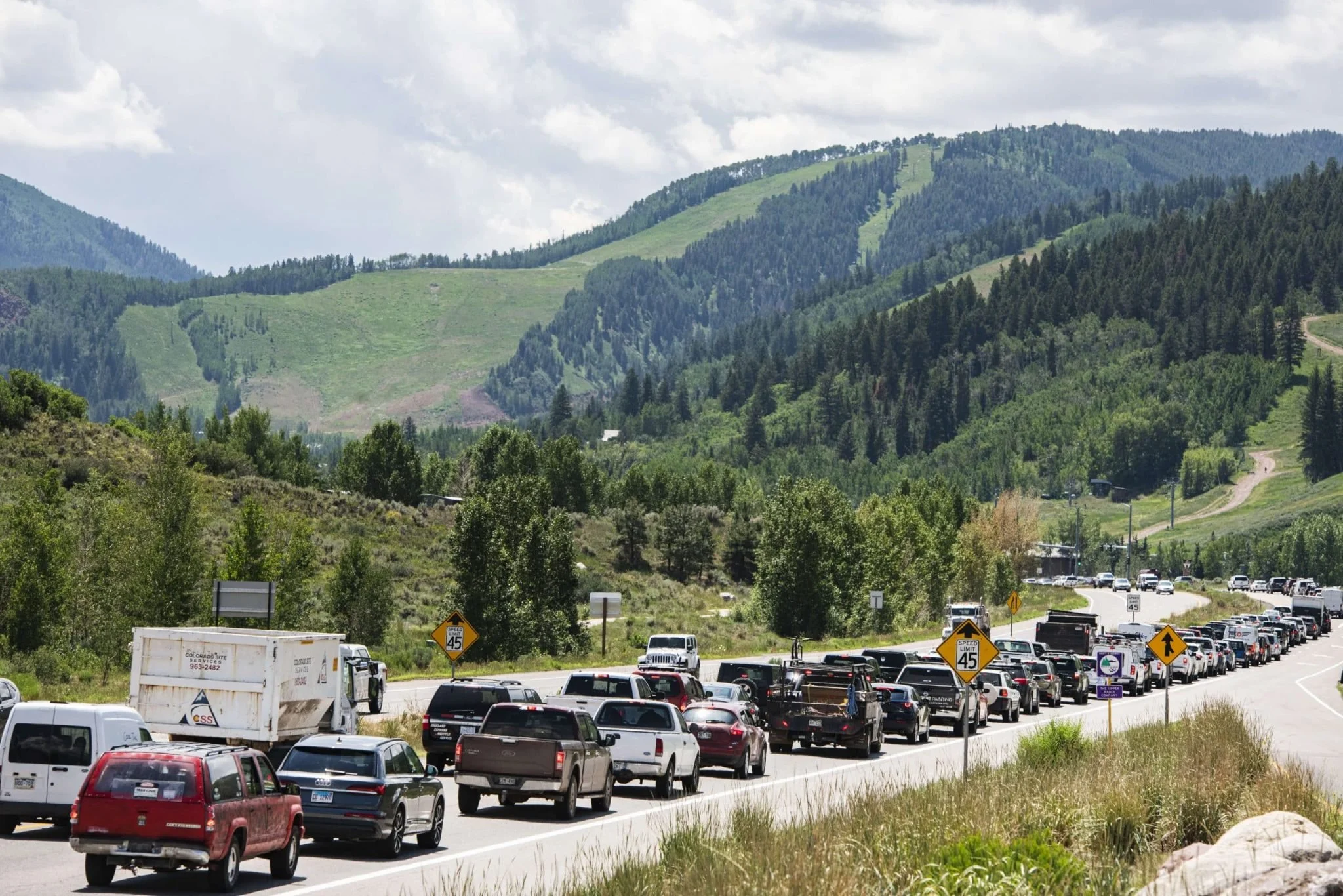 Aspen Highway Data Shows Wildlife Cause Majority of Incidents