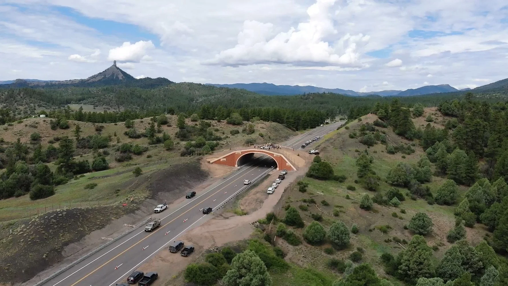 Wilz: Build the crossings