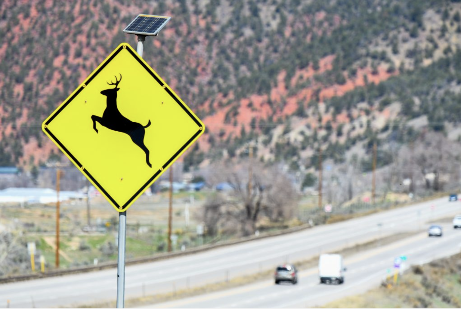 A bill to fund Colorado wildlife crossings clears first hurdles