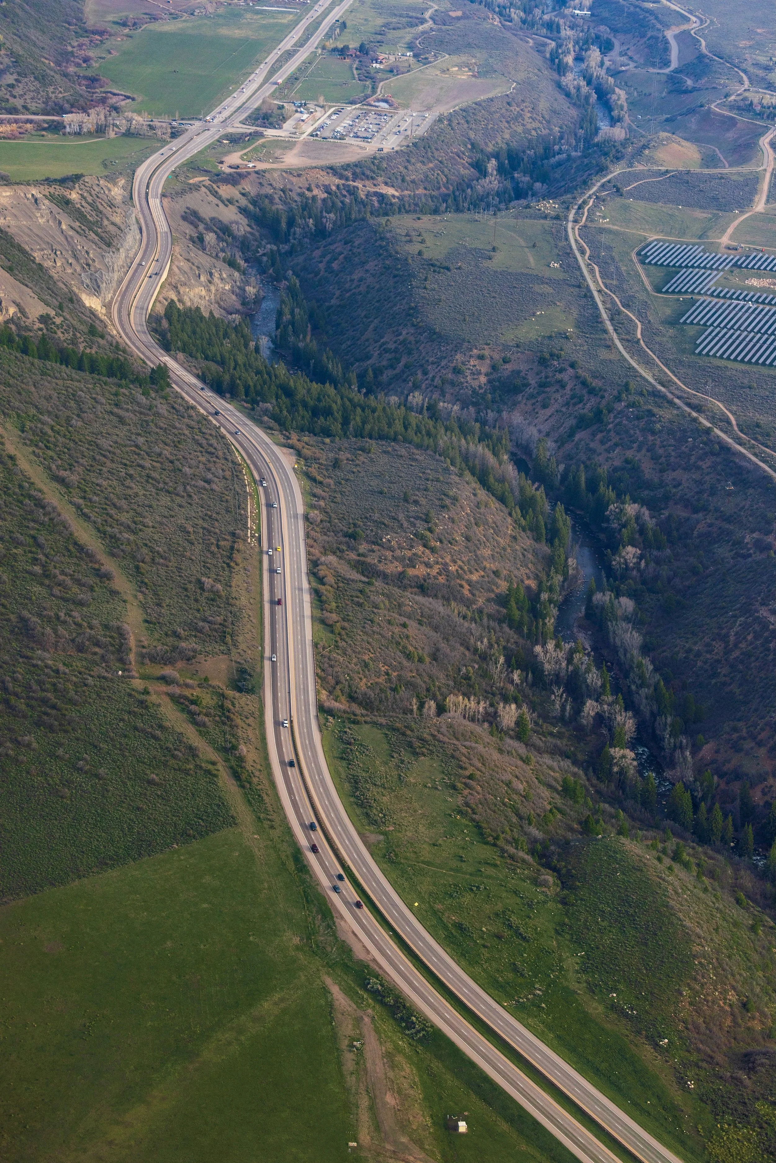 Roaring Fork Safe Passages is addressing the Western Slope’s wildlife-vehicle collision problem