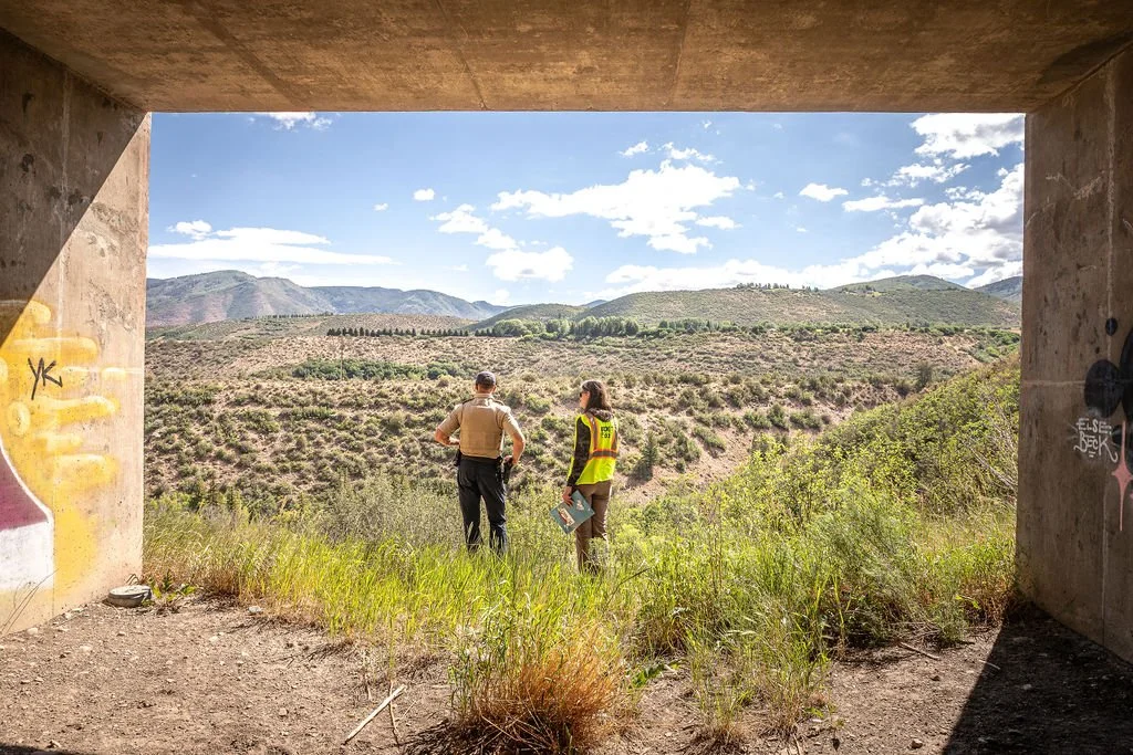 Working Towards Near-Term Fixes — Wildlife Fencing Repairs &amp; Installation at Cattle Creek, Catherine's Store and Aspen Airport—A Photo Essay 