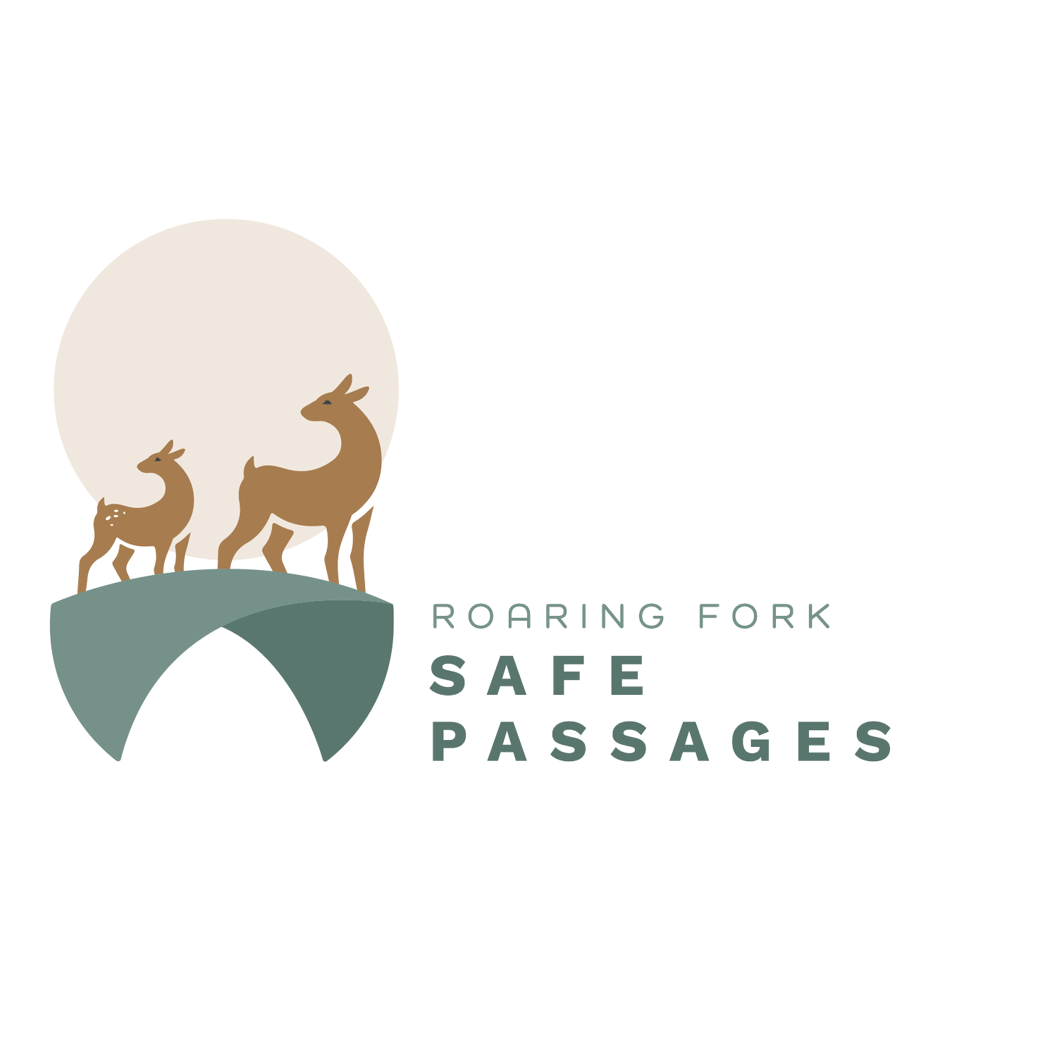 Roaring Fork Safe Passages