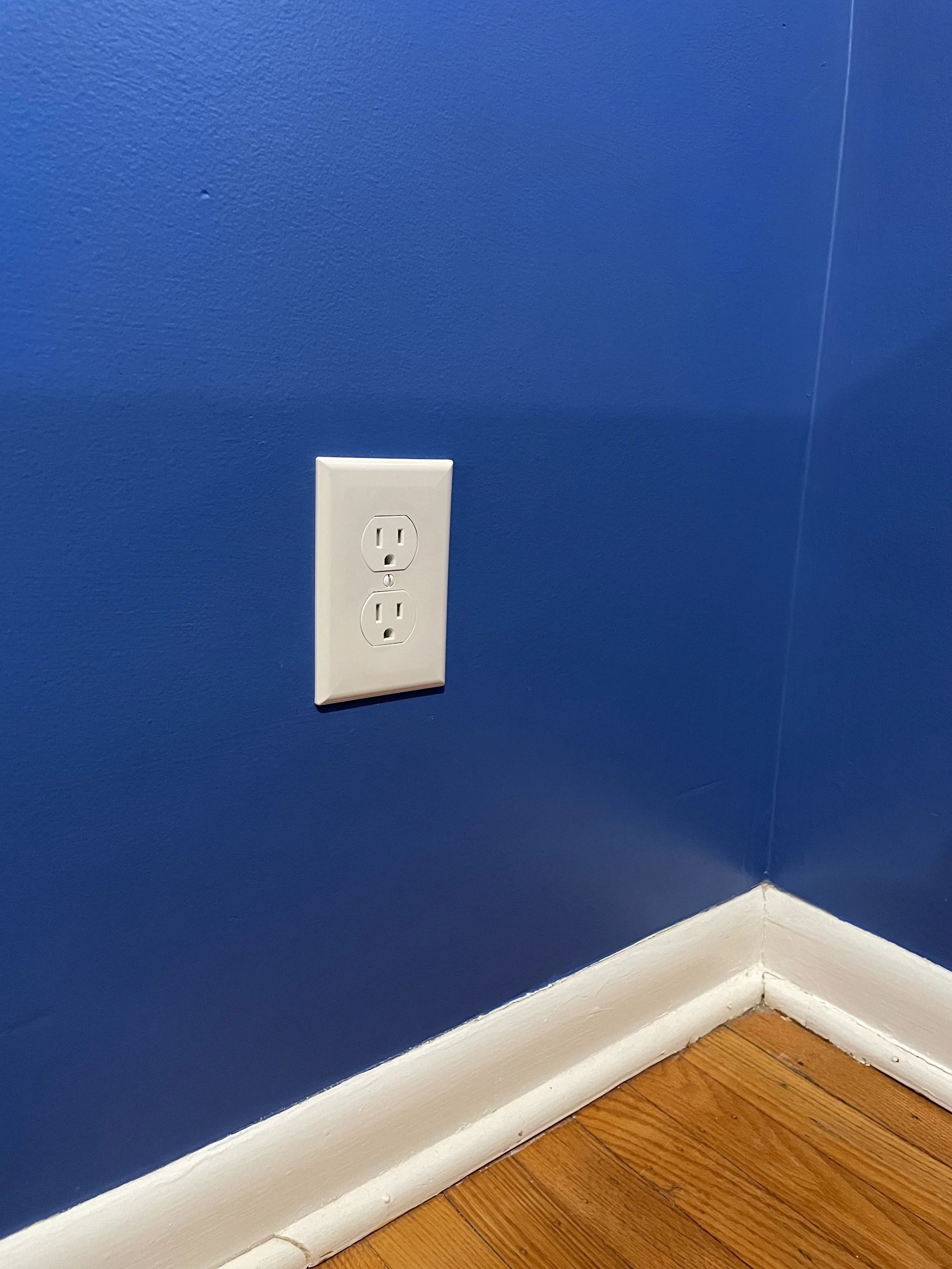 dual electric pic 1.jpg