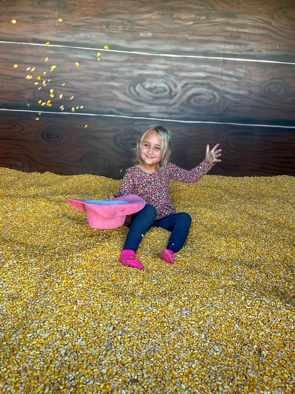 Mini land attractions bear paw adventure park