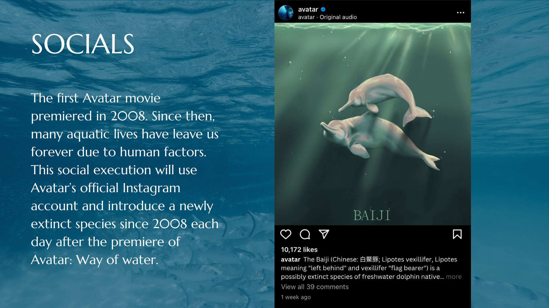 Experiential Campaign Project-3.png