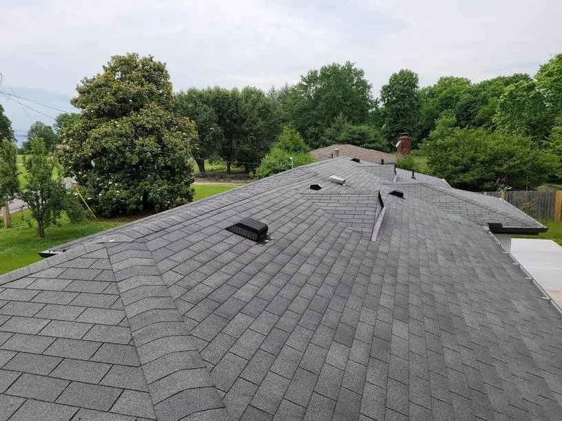 shingle roof.jpeg