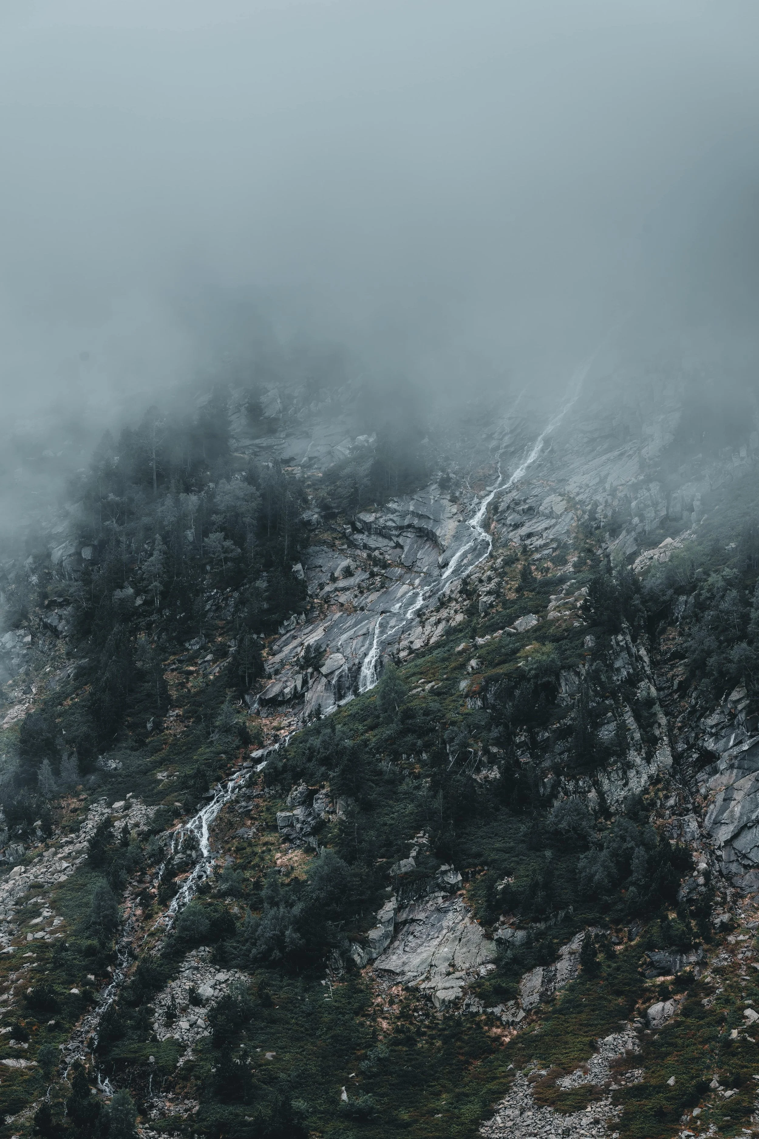 DSC_4406-DxO_DeepPRIME 3_insta-nano.jpg