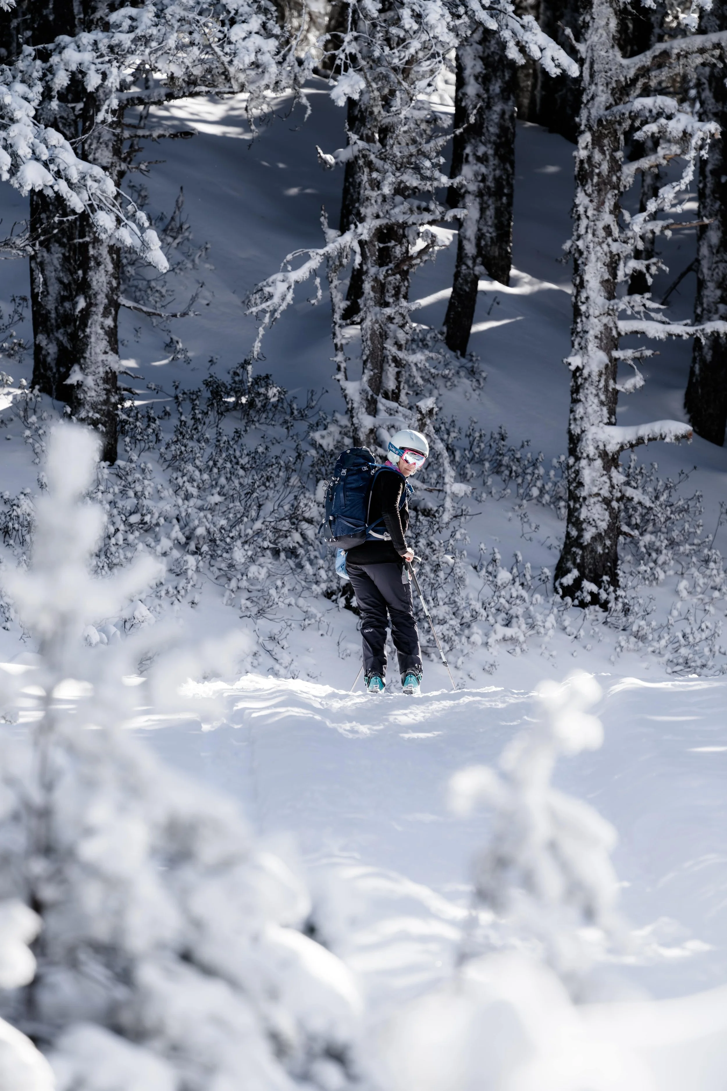 DSC_0514-DxO_DeepPRIME 3_insta-nano.jpg