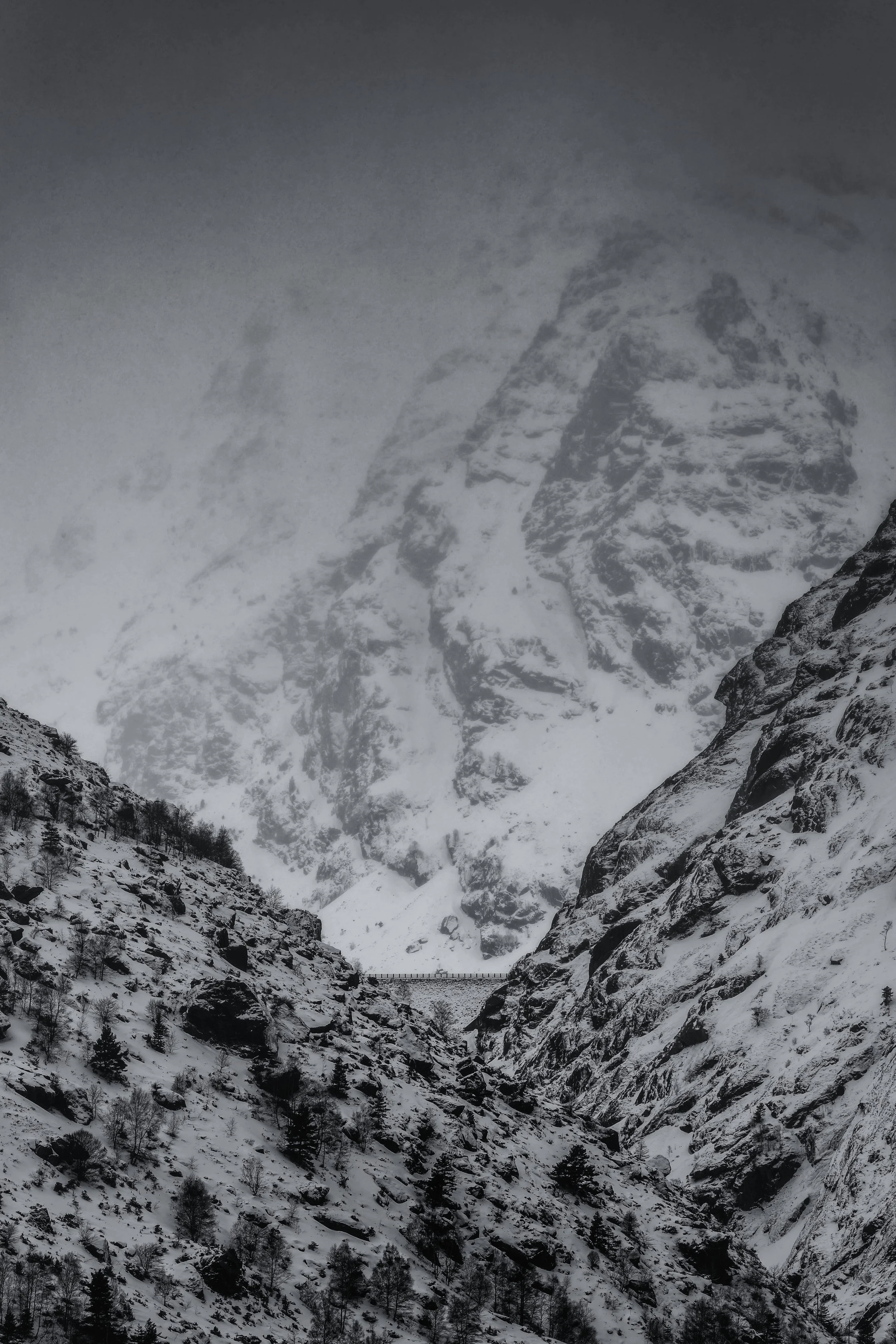 _DSC1414-DxO_DeepPRIME 3-nano.jpg