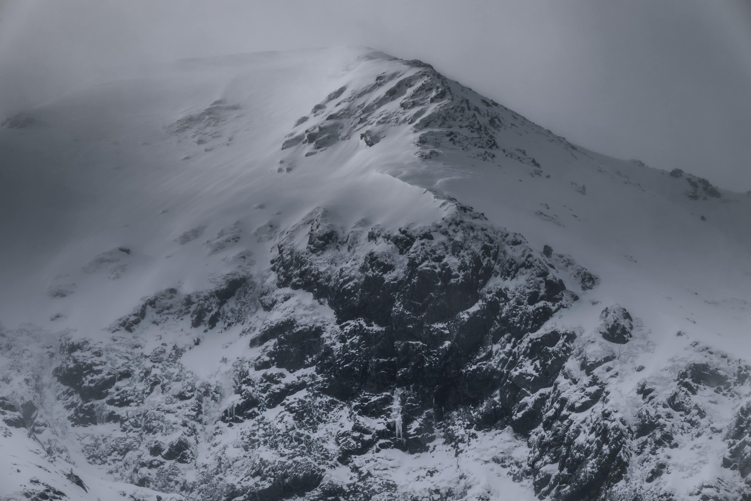 DSC_1560-DxO_DeepPRIME 3.jpg