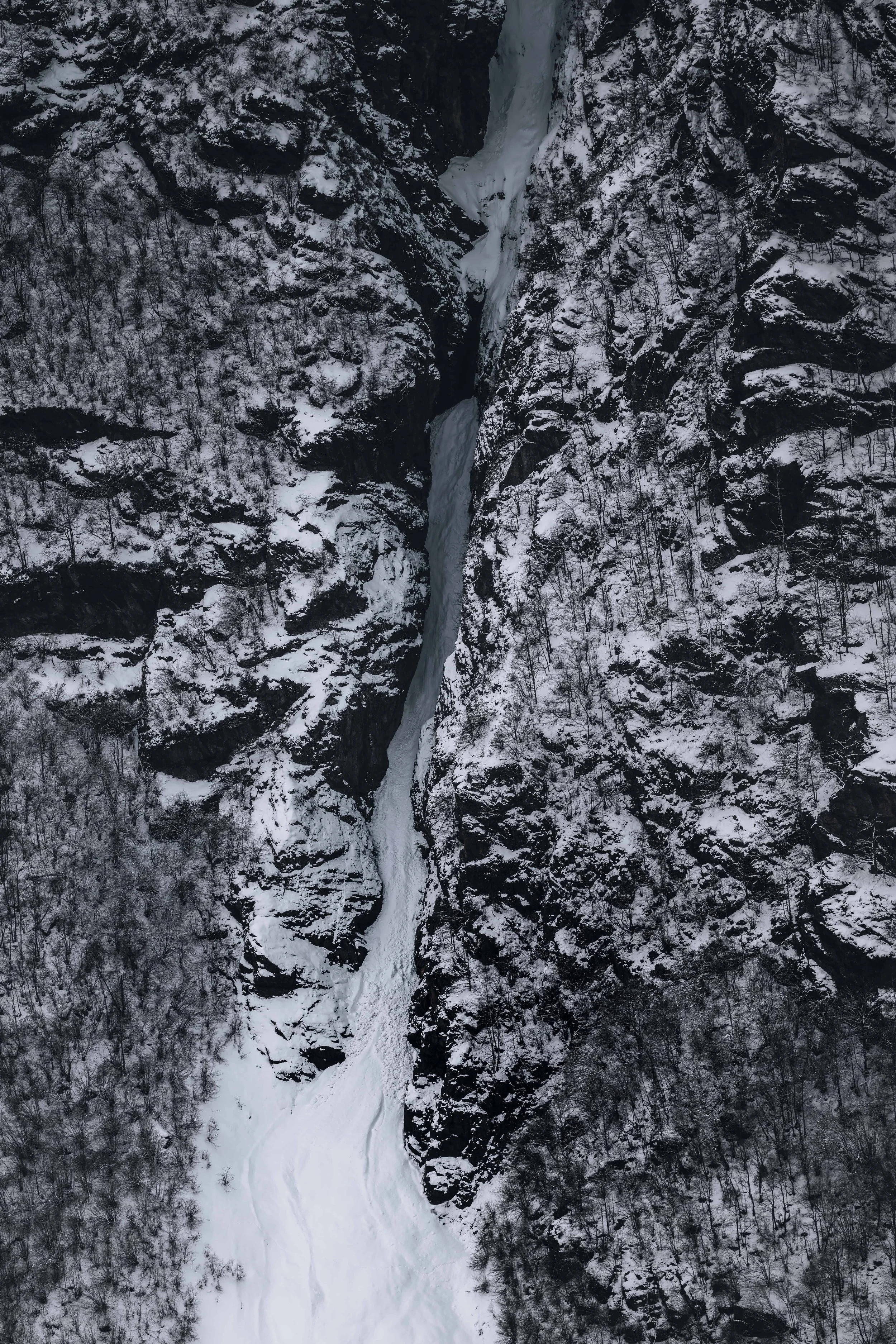 DSC_1580-DxO_DeepPRIME 3.jpg