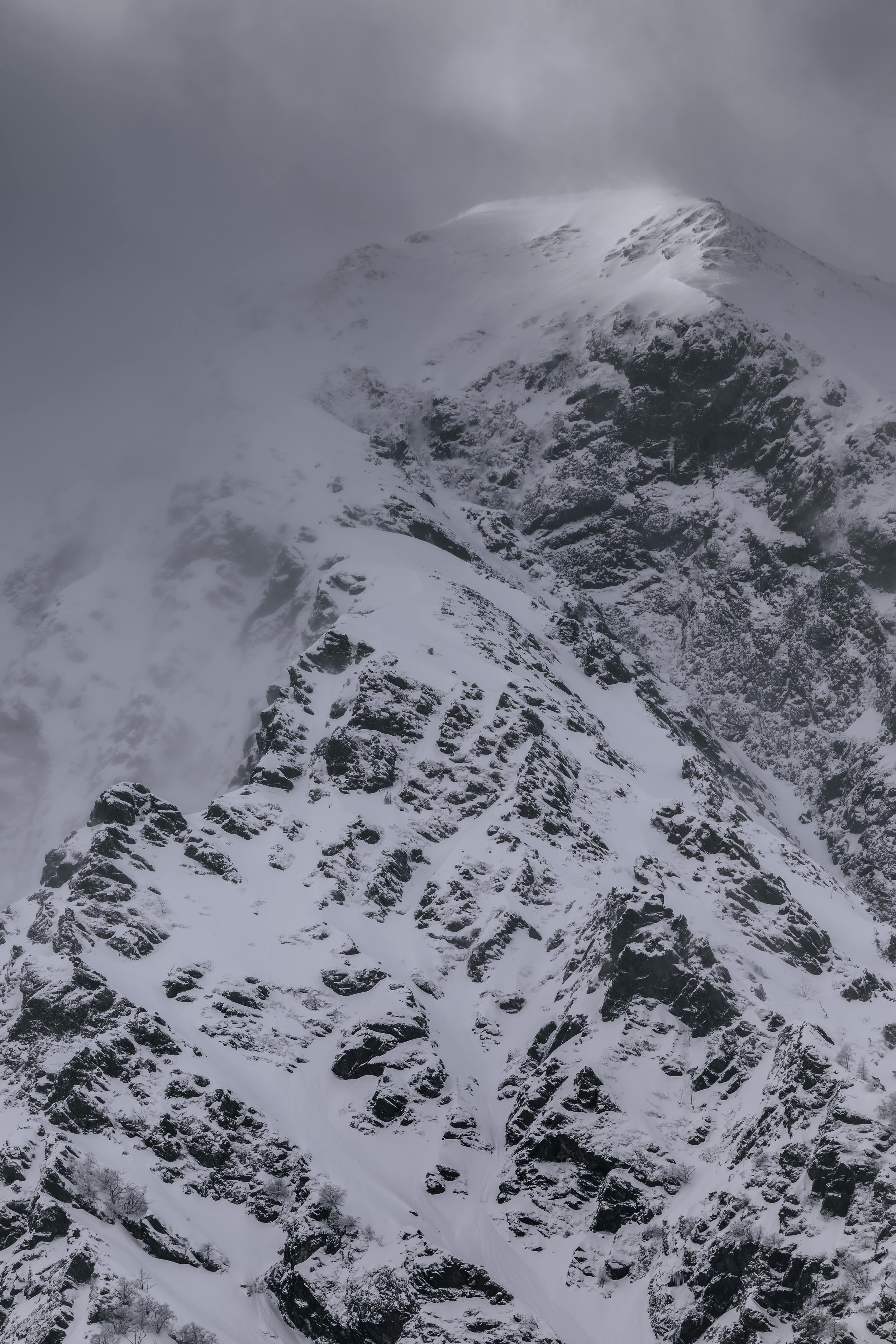 _DSC1498-DxO_DeepPRIME 3.jpg