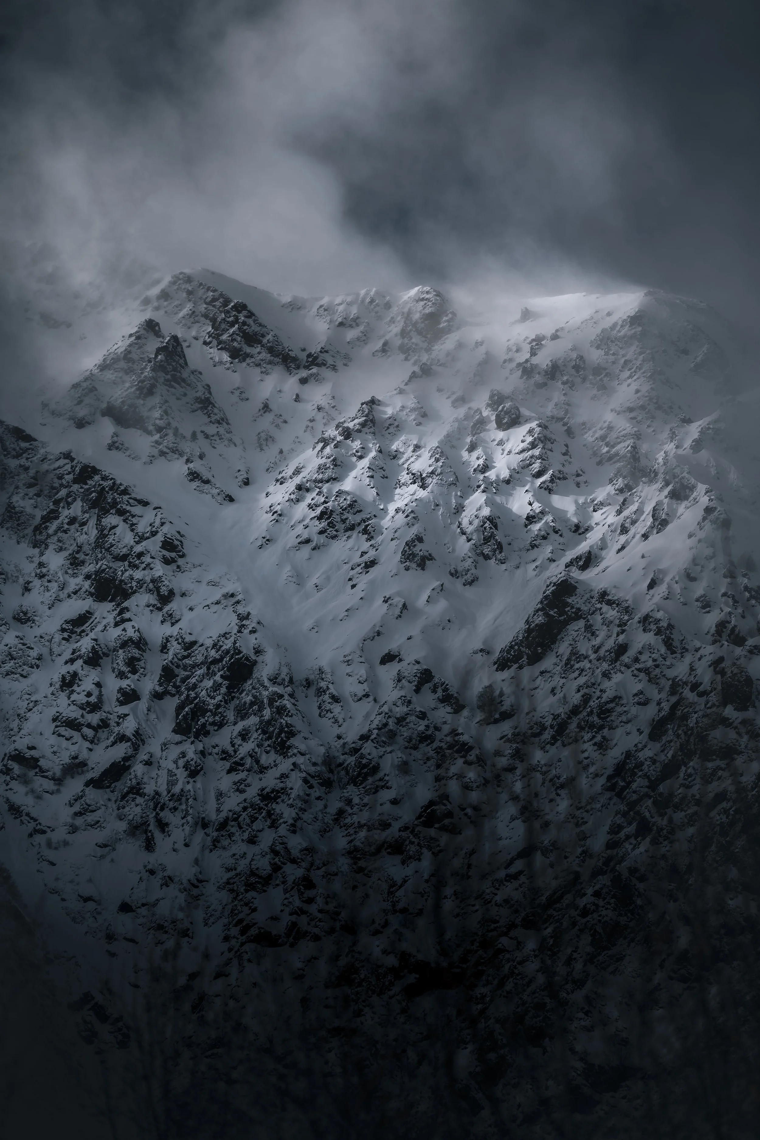 DZ5_1266-DxO_DeepPRIME 3.jpg