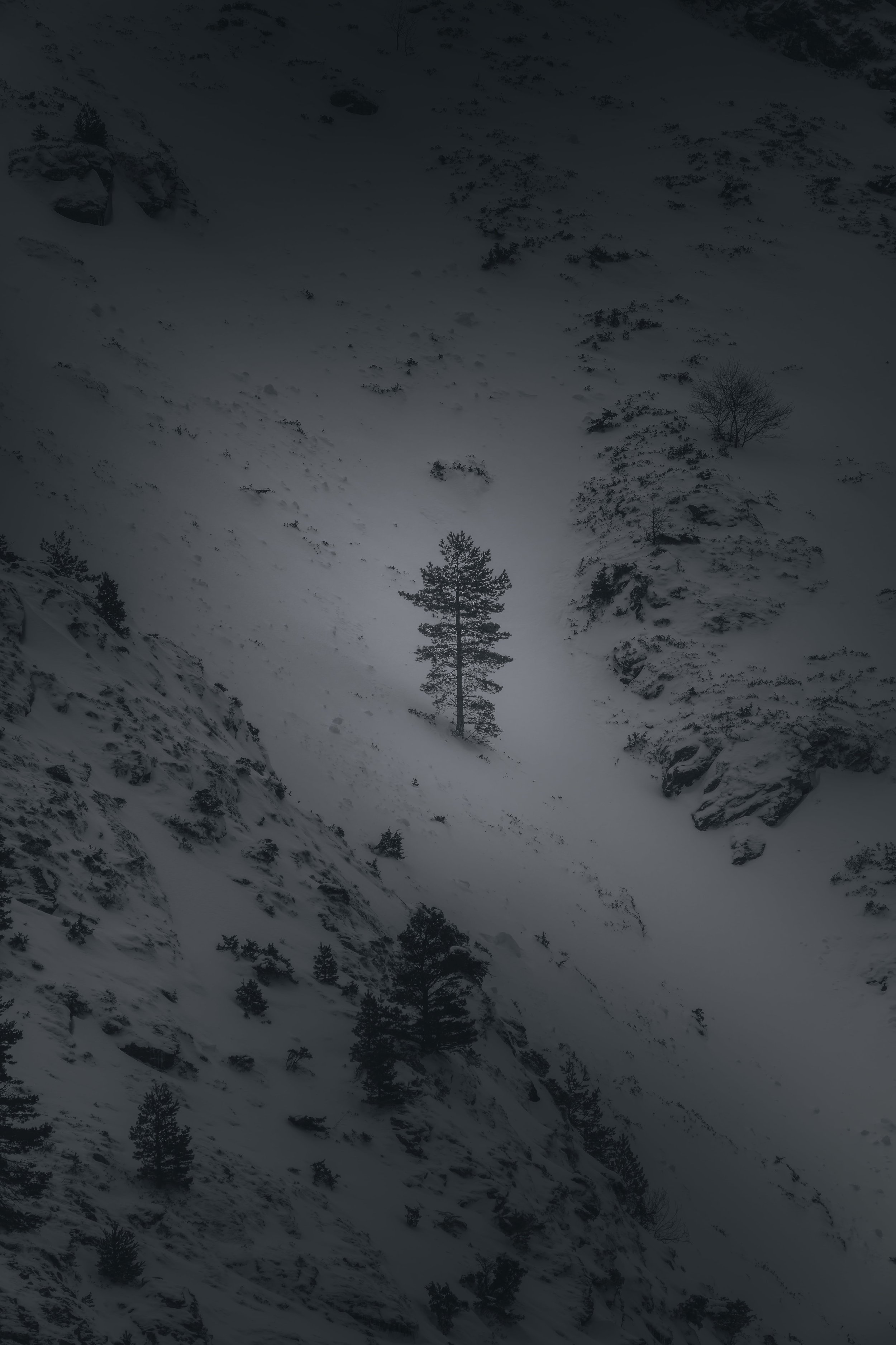 _DSC1326-DxO_DeepPRIME 3.jpg