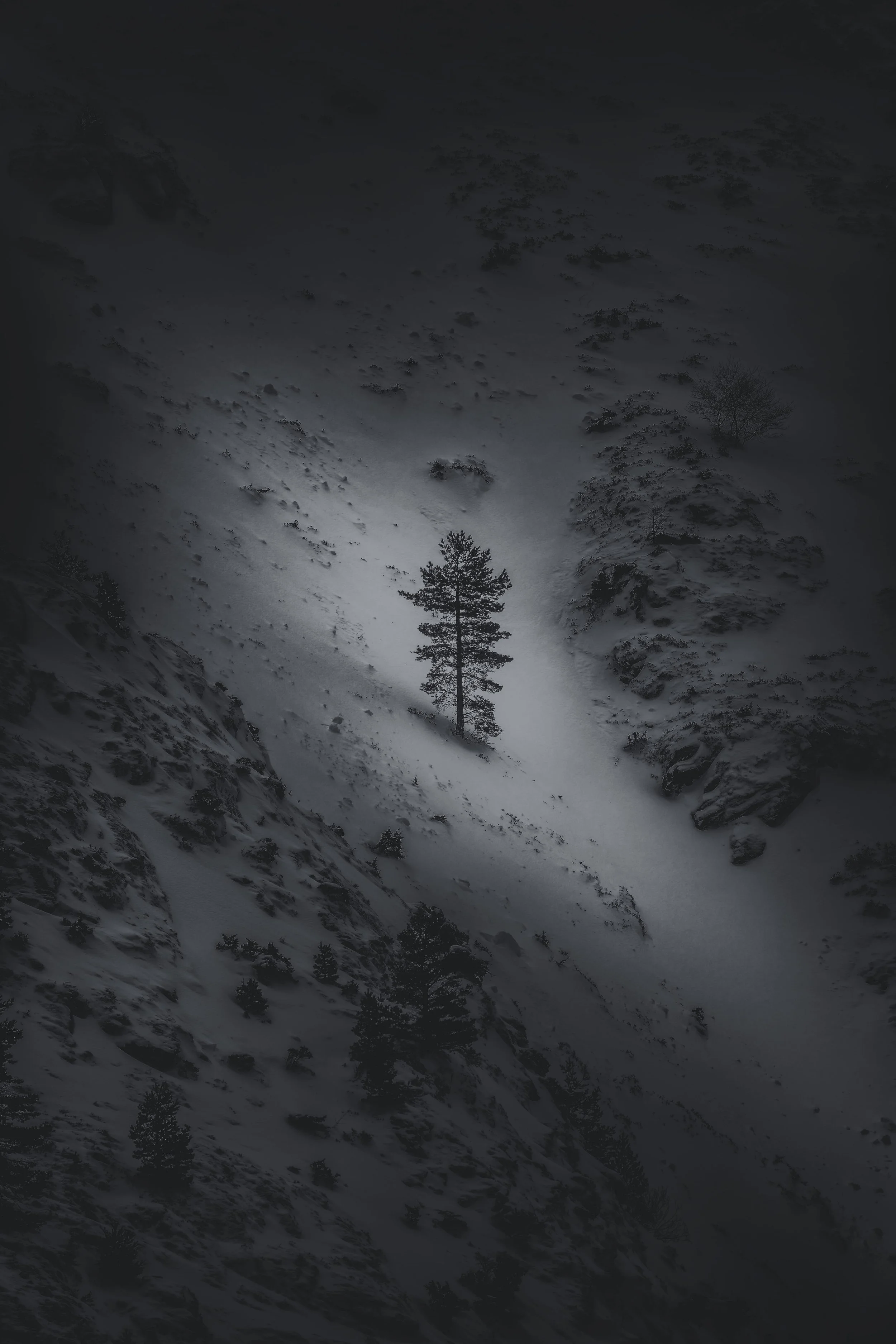 Le Résistant-nano.jpg