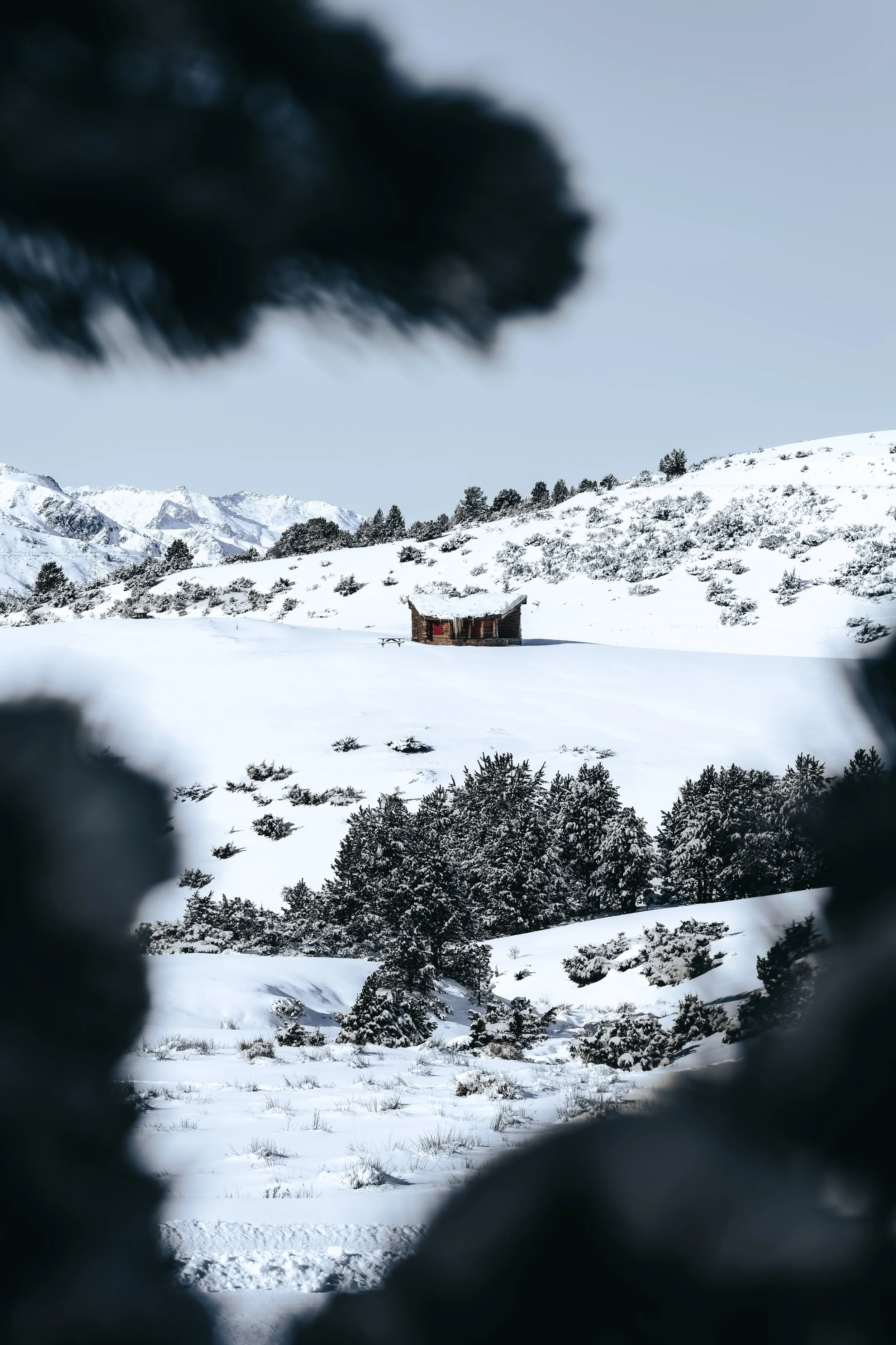 DSC_0498-DxO_DeepPRIME 3_insta-nano.jpg