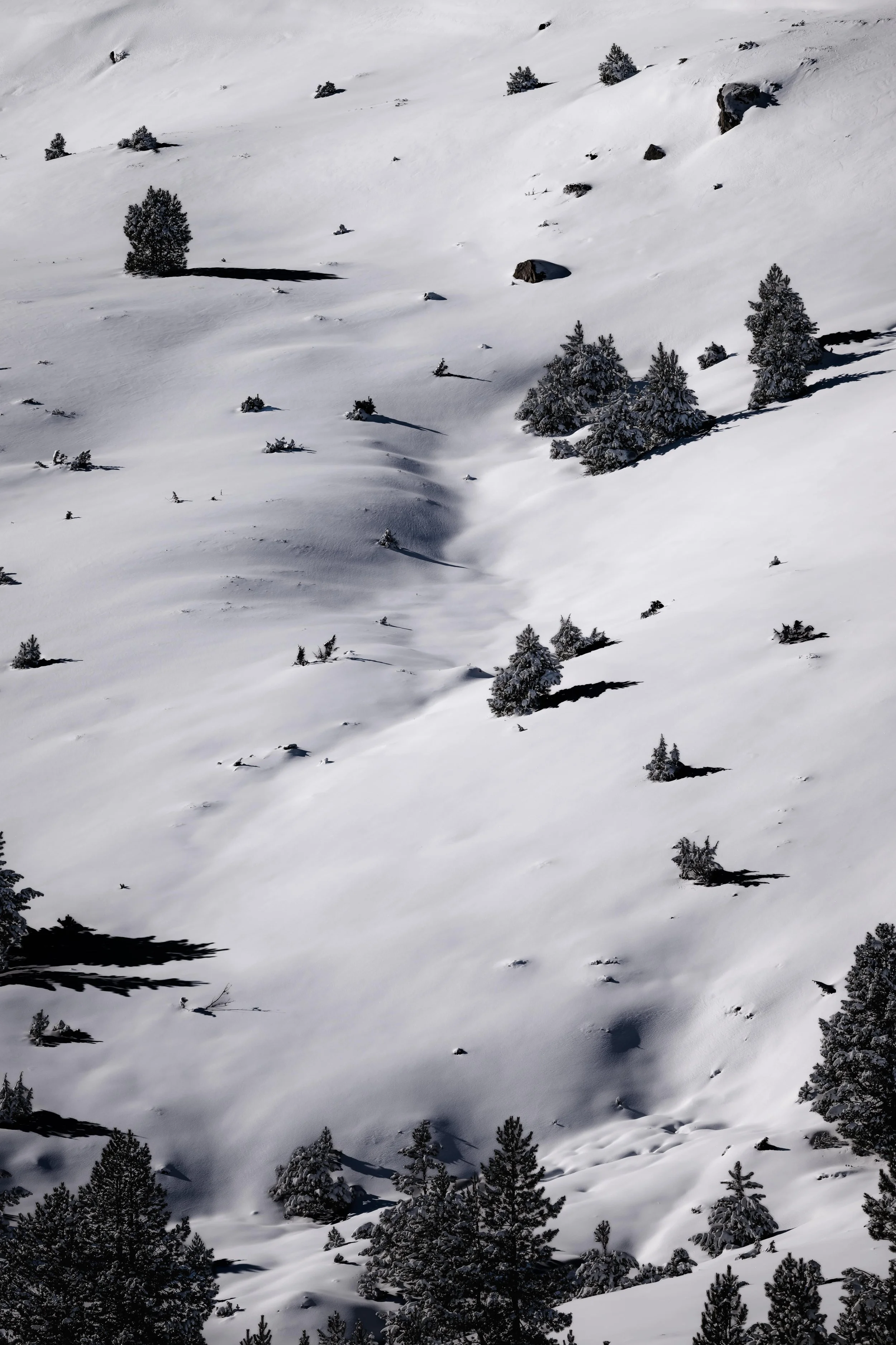 DSC_0680-DxO_DeepPRIME 3_insta-nano.jpg