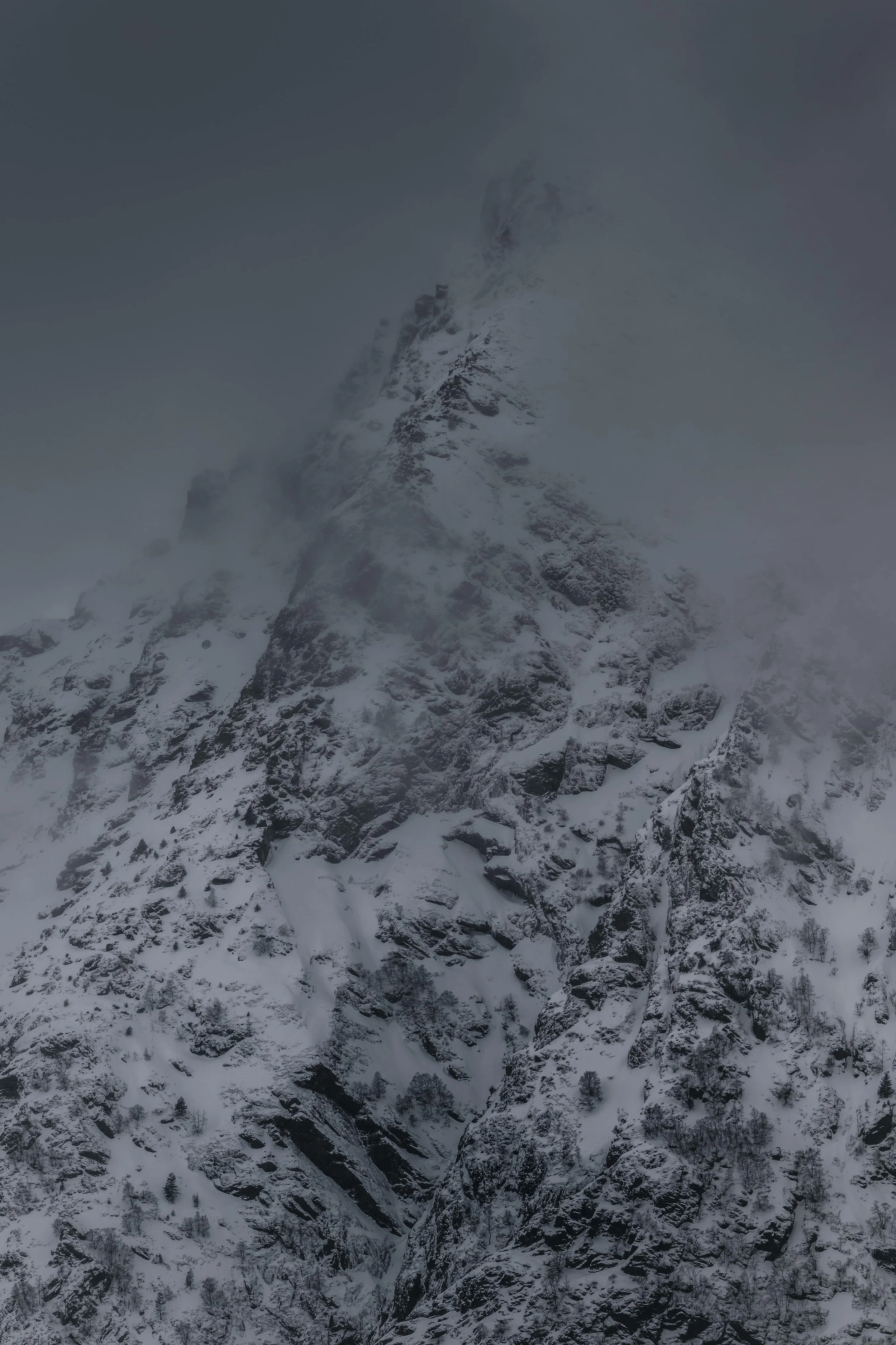 DSC_1614-DxO_DeepPRIME 3.jpg