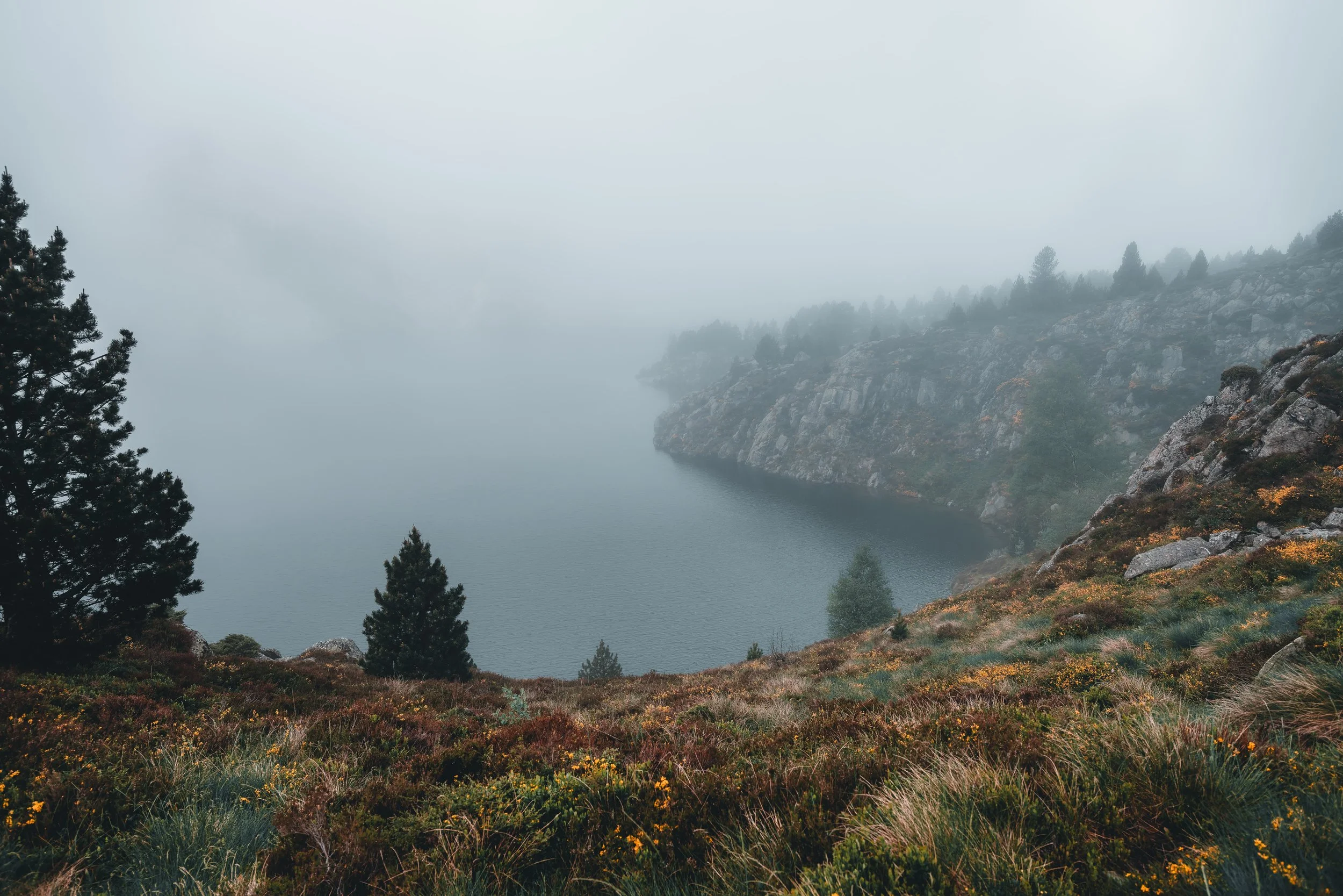 DSC_4352-DxO_DeepPRIME 3_insta-nano.jpg