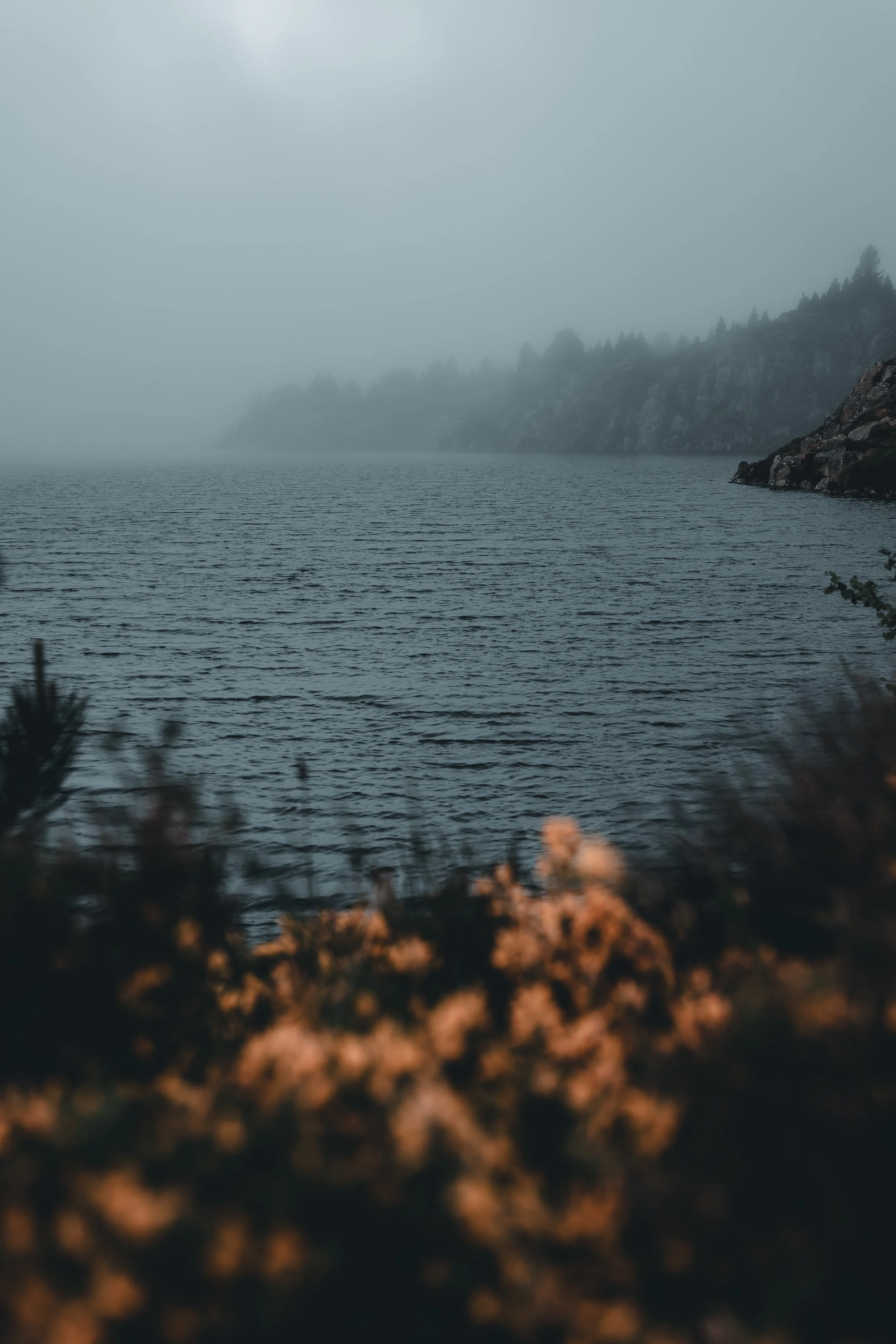 DSC_4345-DxO_DeepPRIME 3_insta-nano.jpg