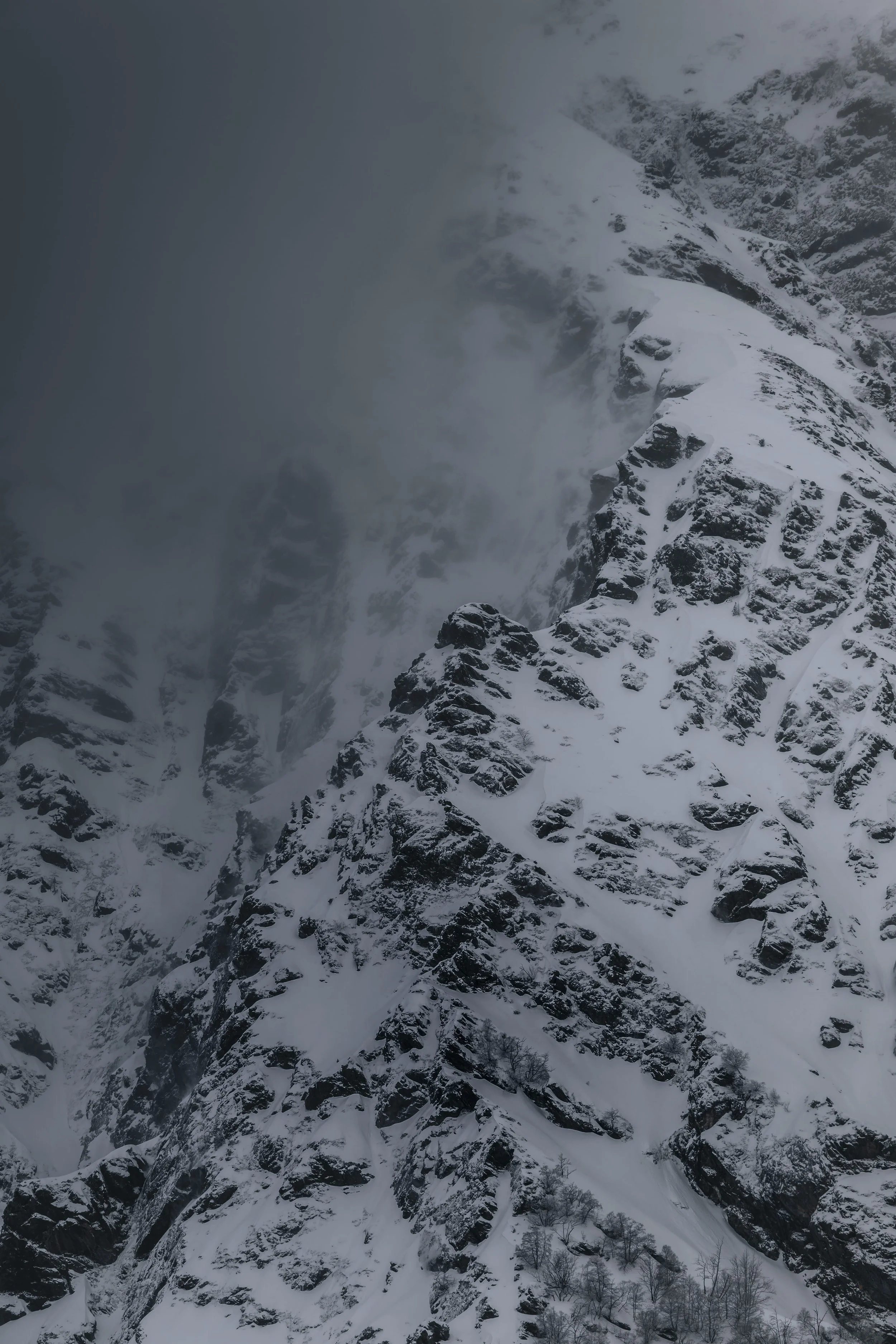 DSC_1599-DxO_DeepPRIME 3.jpg