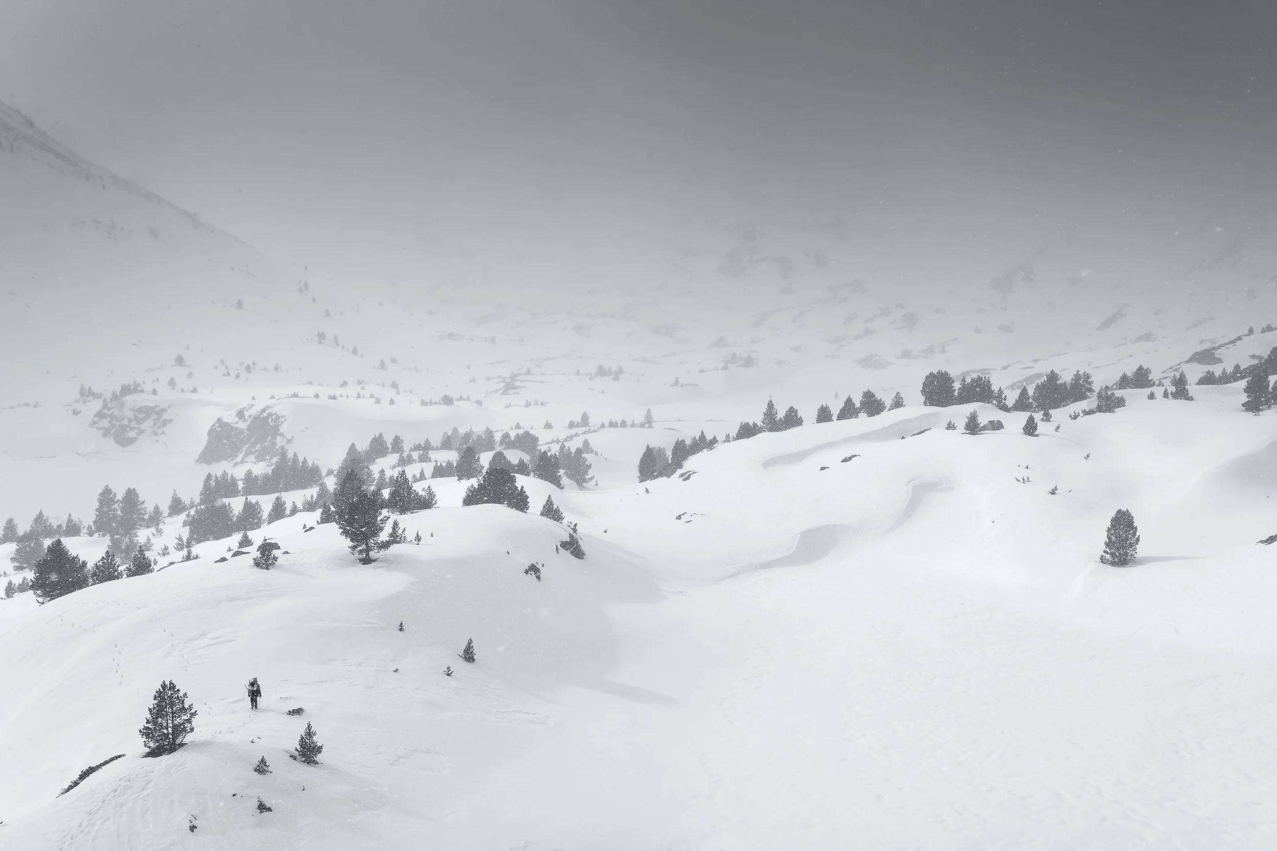 Paradis Blanc-nano.jpg