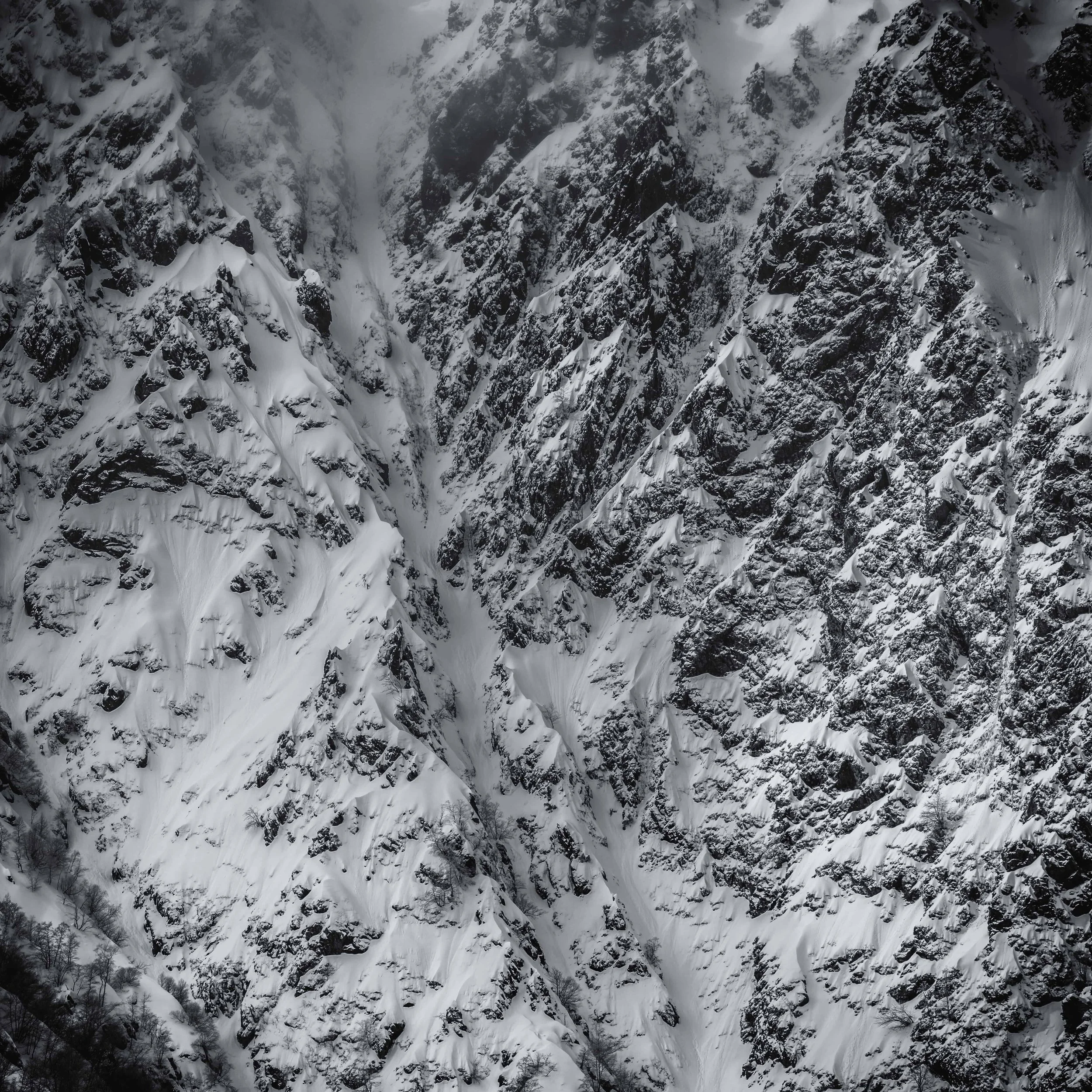 DSC_1548-DxO_DeepPRIME 3-2-nano.jpg