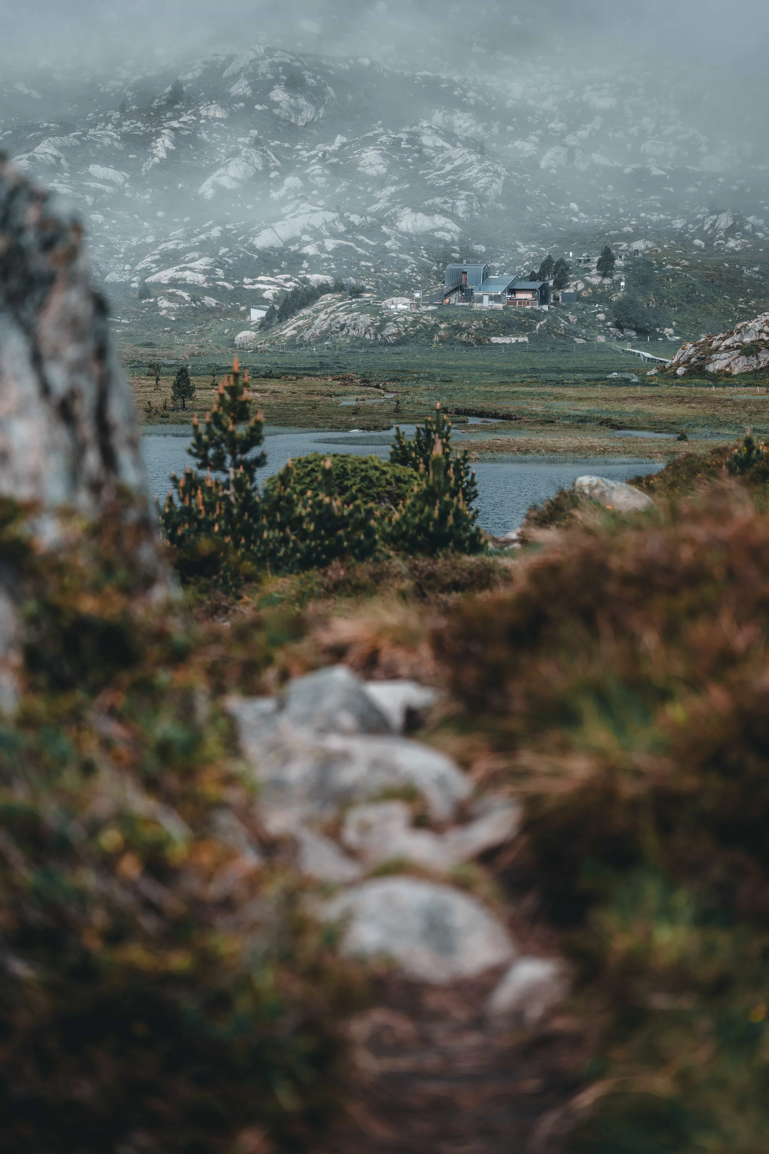 DSC_4365-DxO_DeepPRIME 3_insta-nano.jpg