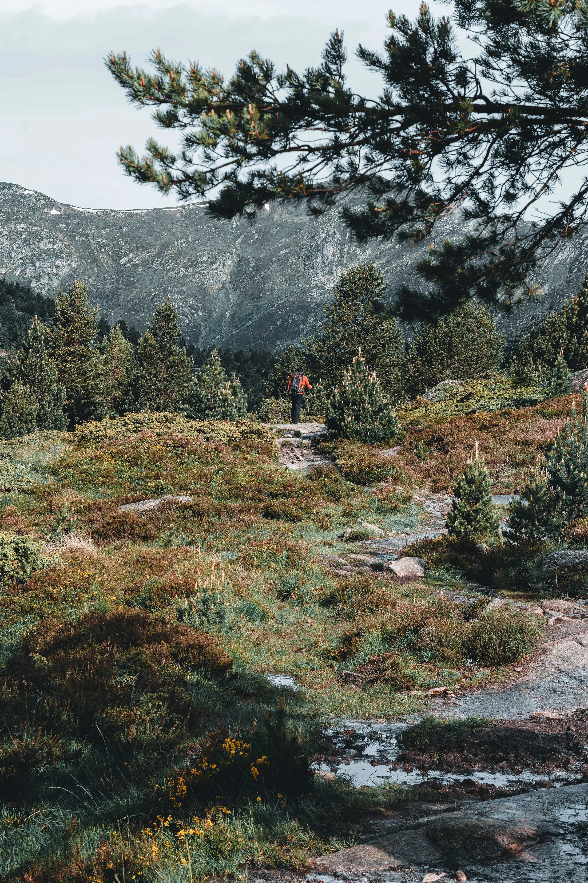 DSC_4320-DxO_DeepPRIME 3_insta-nano.jpg