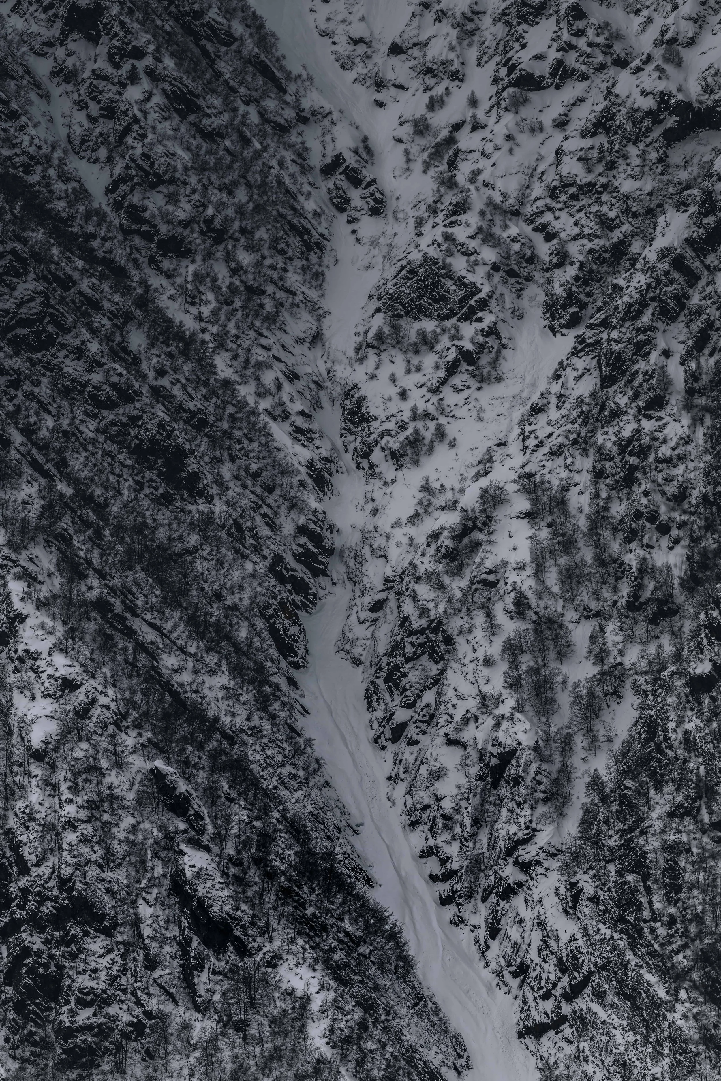 DSC_1578-DxO_DeepPRIME 3.jpg