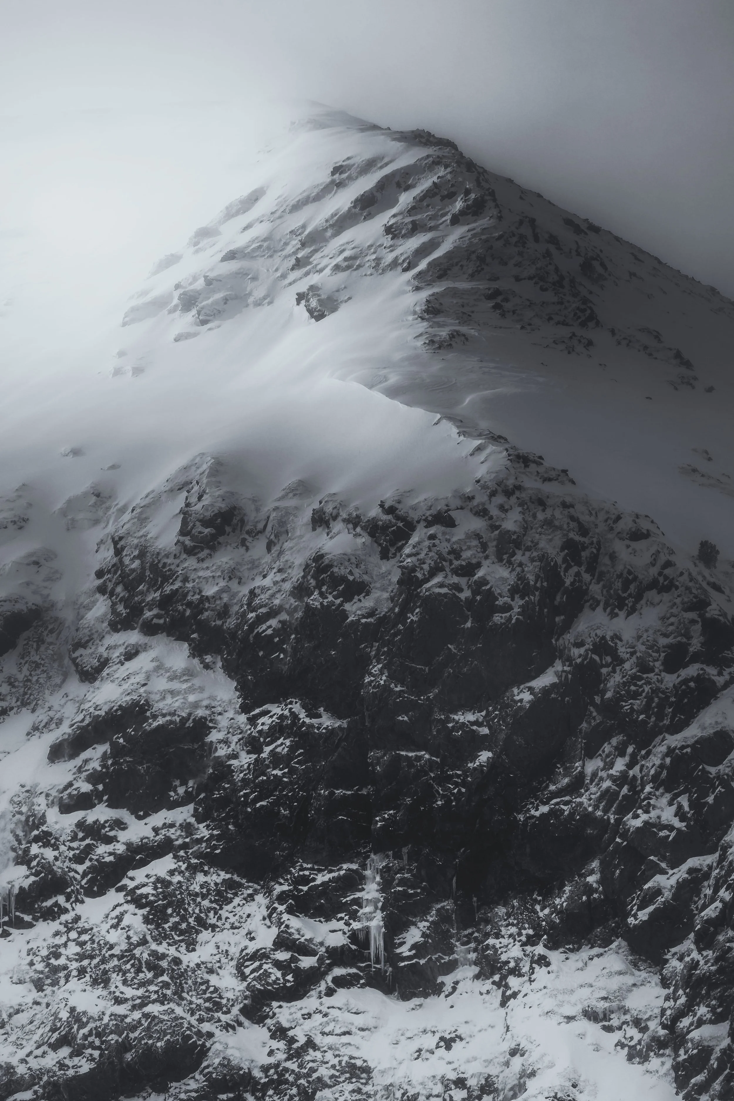 Vers la lumière-nano.jpg