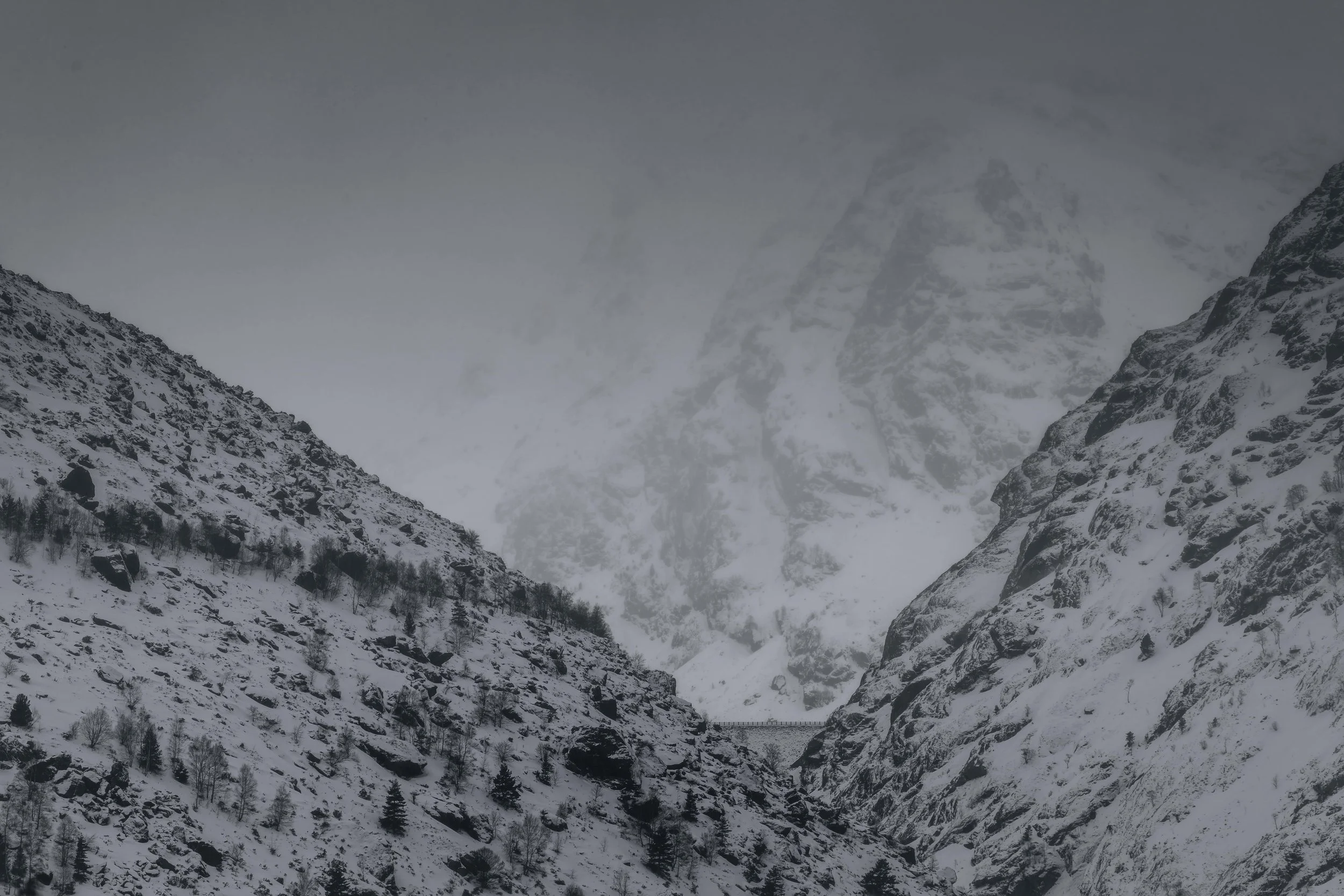 _DSC1412-DxO_DeepPRIME 3.jpg