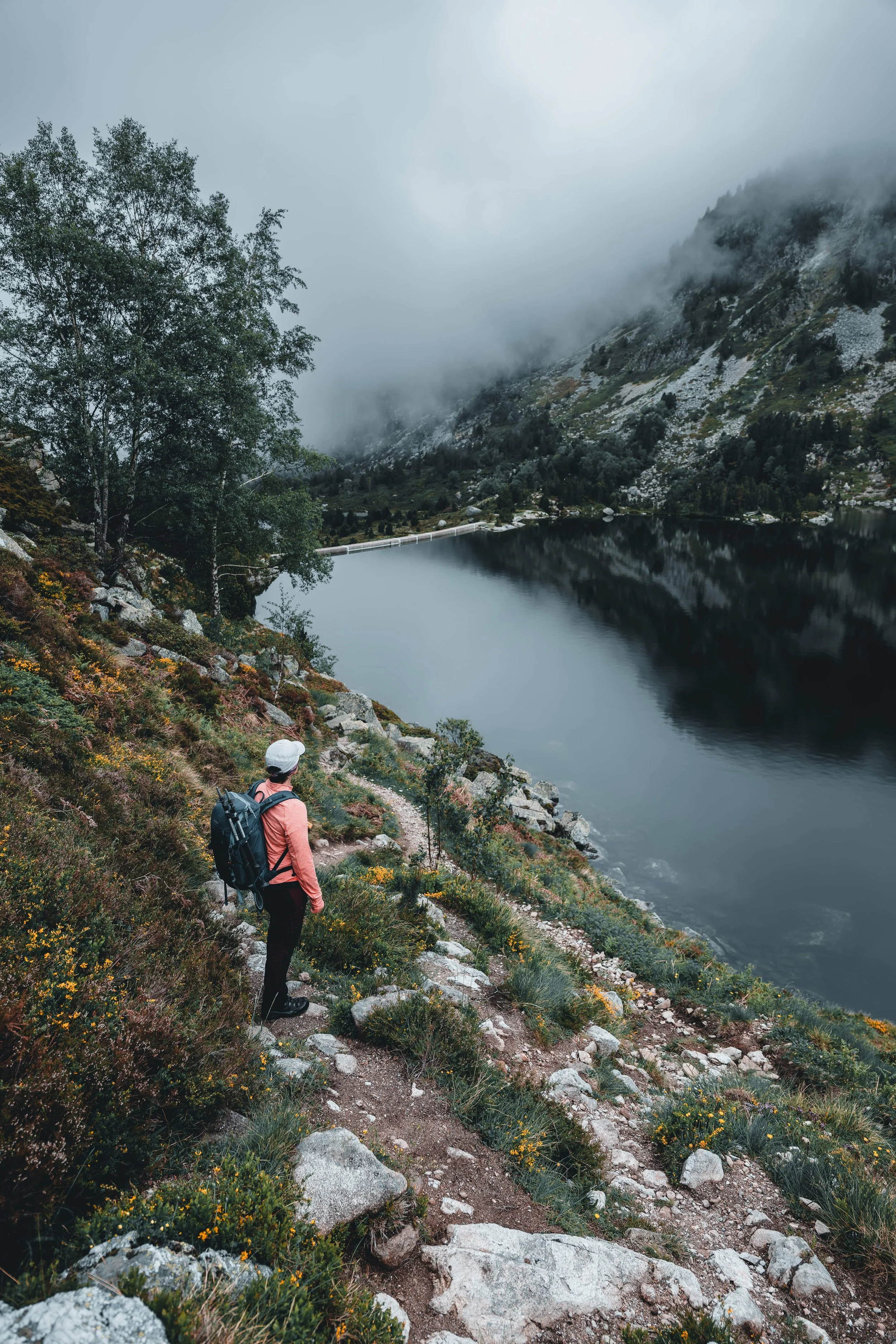 DSC_4408-DxO_DeepPRIME 3_insta-nano.jpg