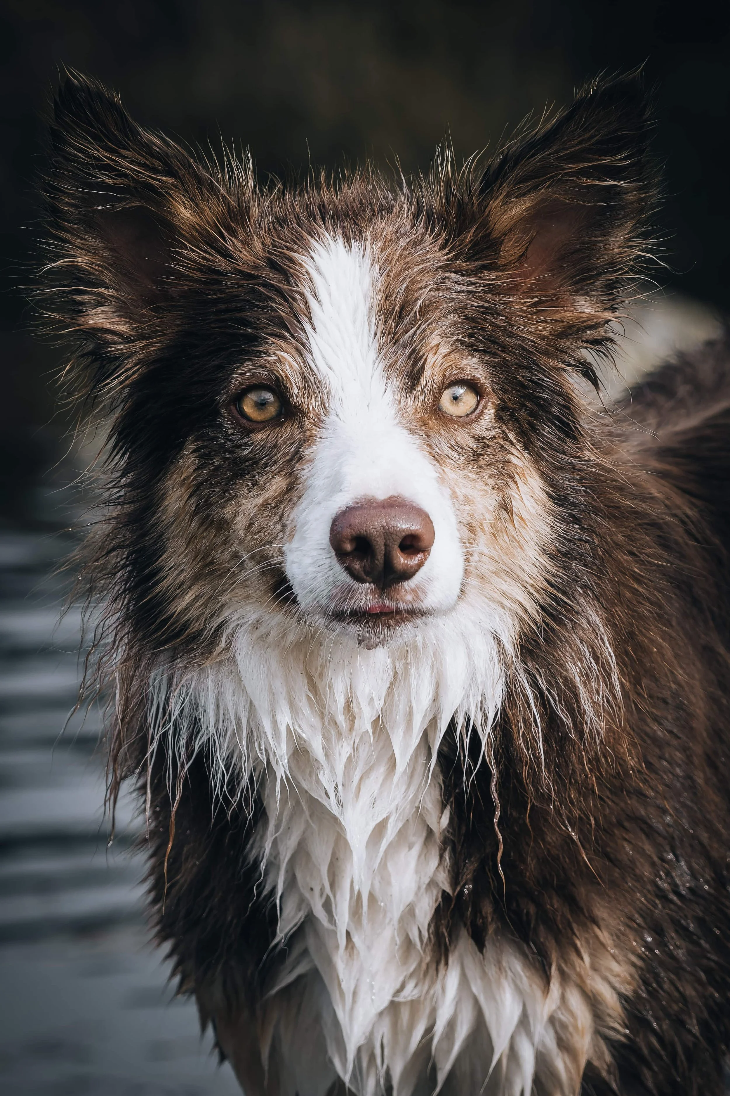 DSC_4310-DxO_DeepPRIME 3_insta-nano.jpg