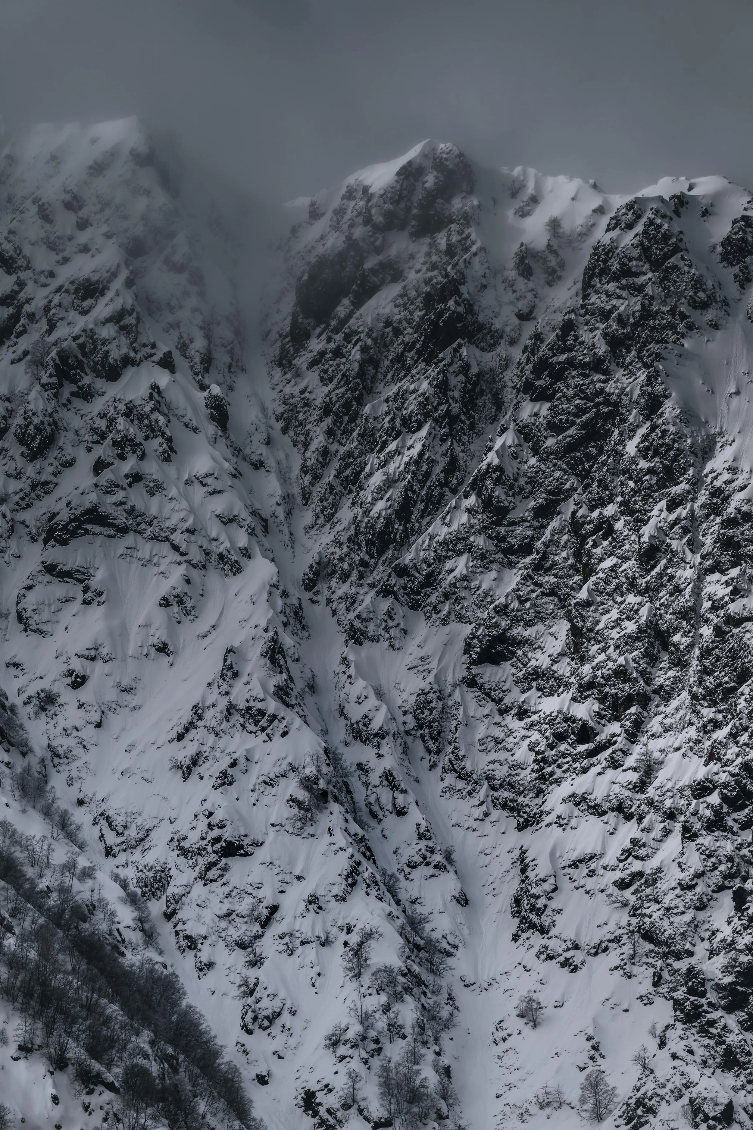 DSC_1548-DxO_DeepPRIME 3.jpg