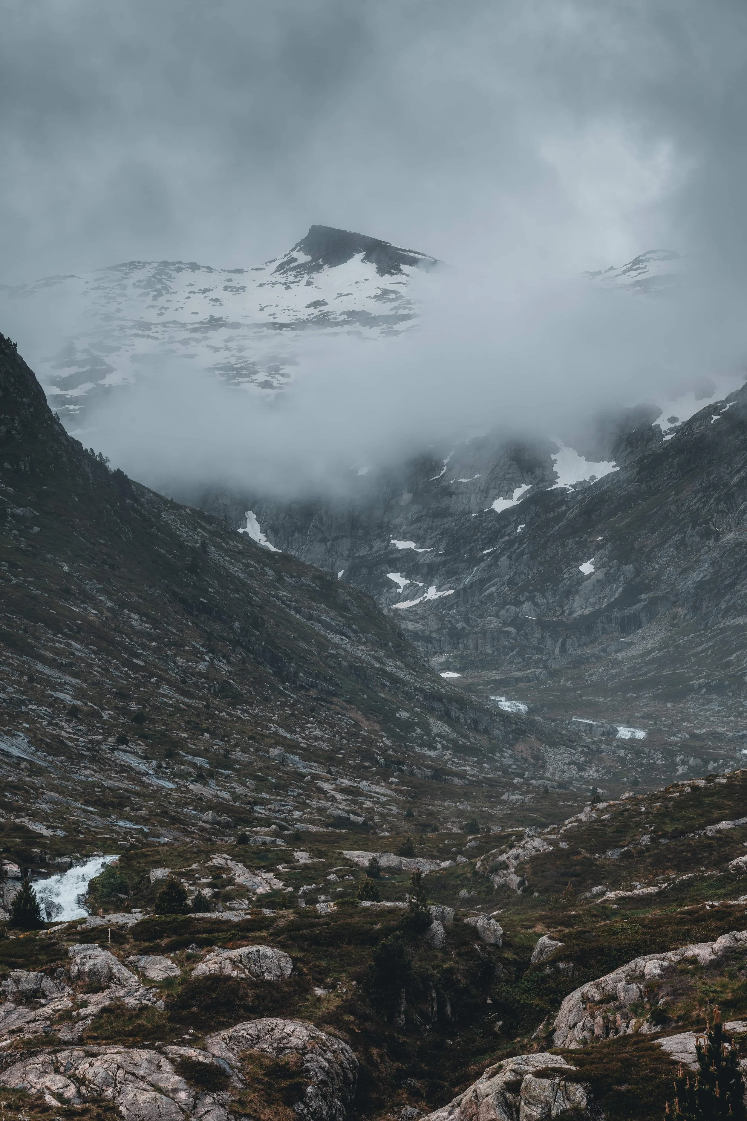 DSC_4390-DxO_DeepPRIME 3_insta-nano.jpg