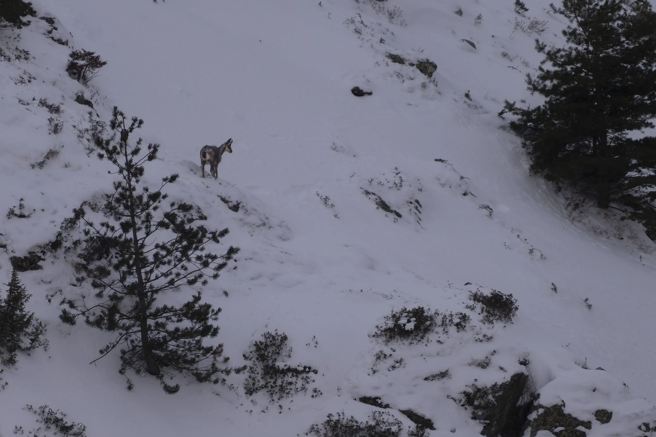 DSC_1583-DxO_DeepPRIME 3.jpg