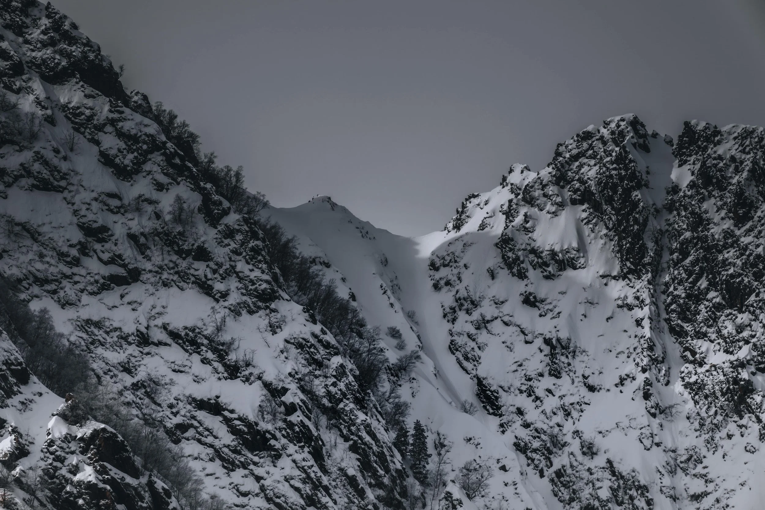 DSC_1561-DxO_DeepPRIME 3.jpg