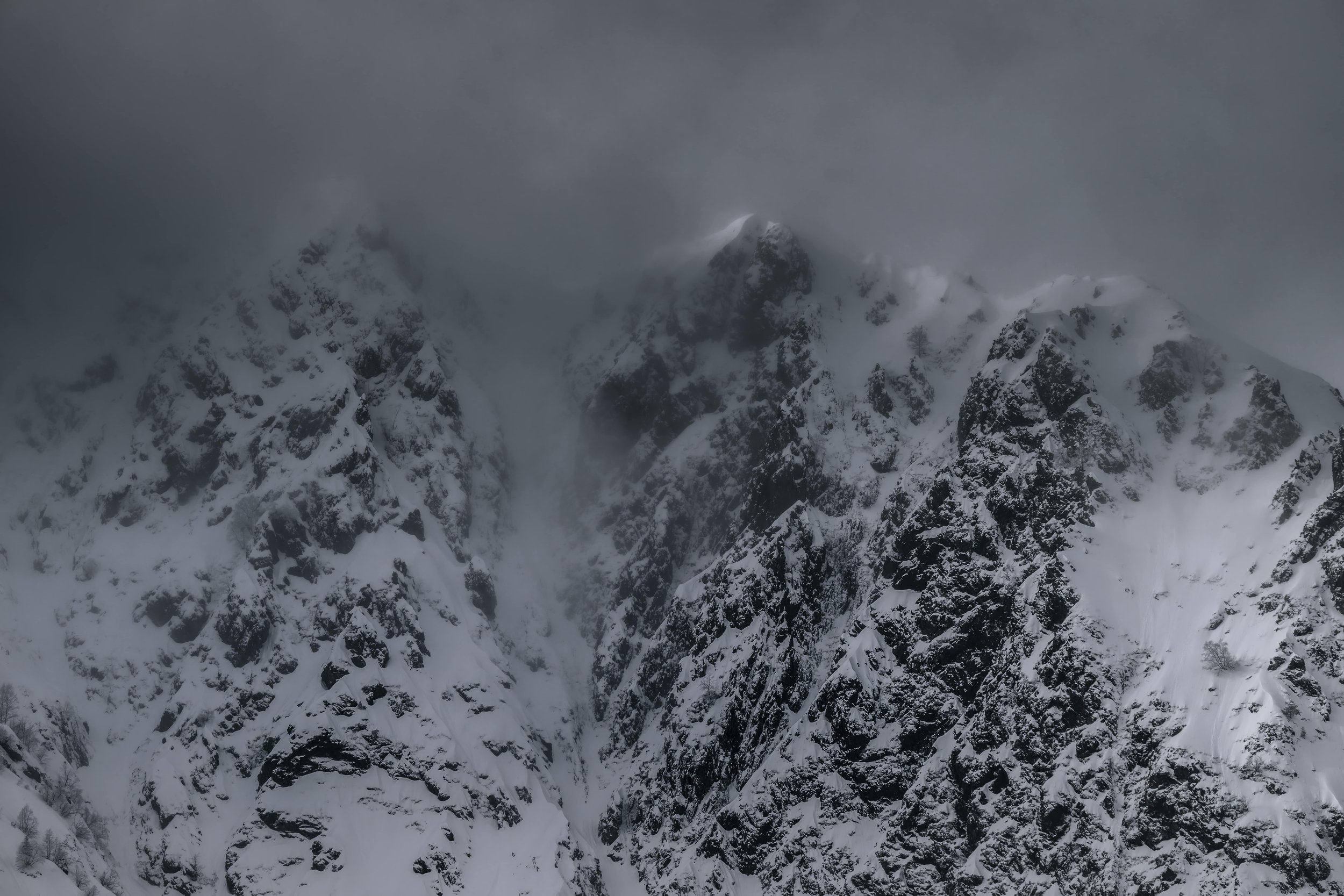 DSC_1591-DxO_DeepPRIME 3.jpg