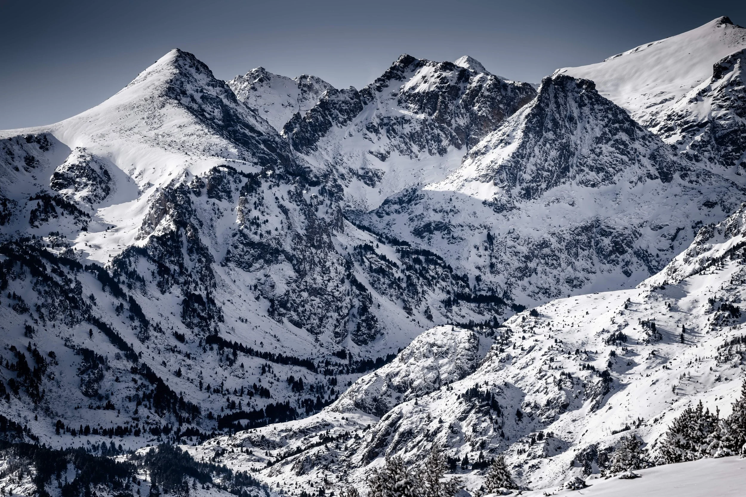 DSC_0590-DxO_DeepPRIME 3_insta-2-nano.jpg