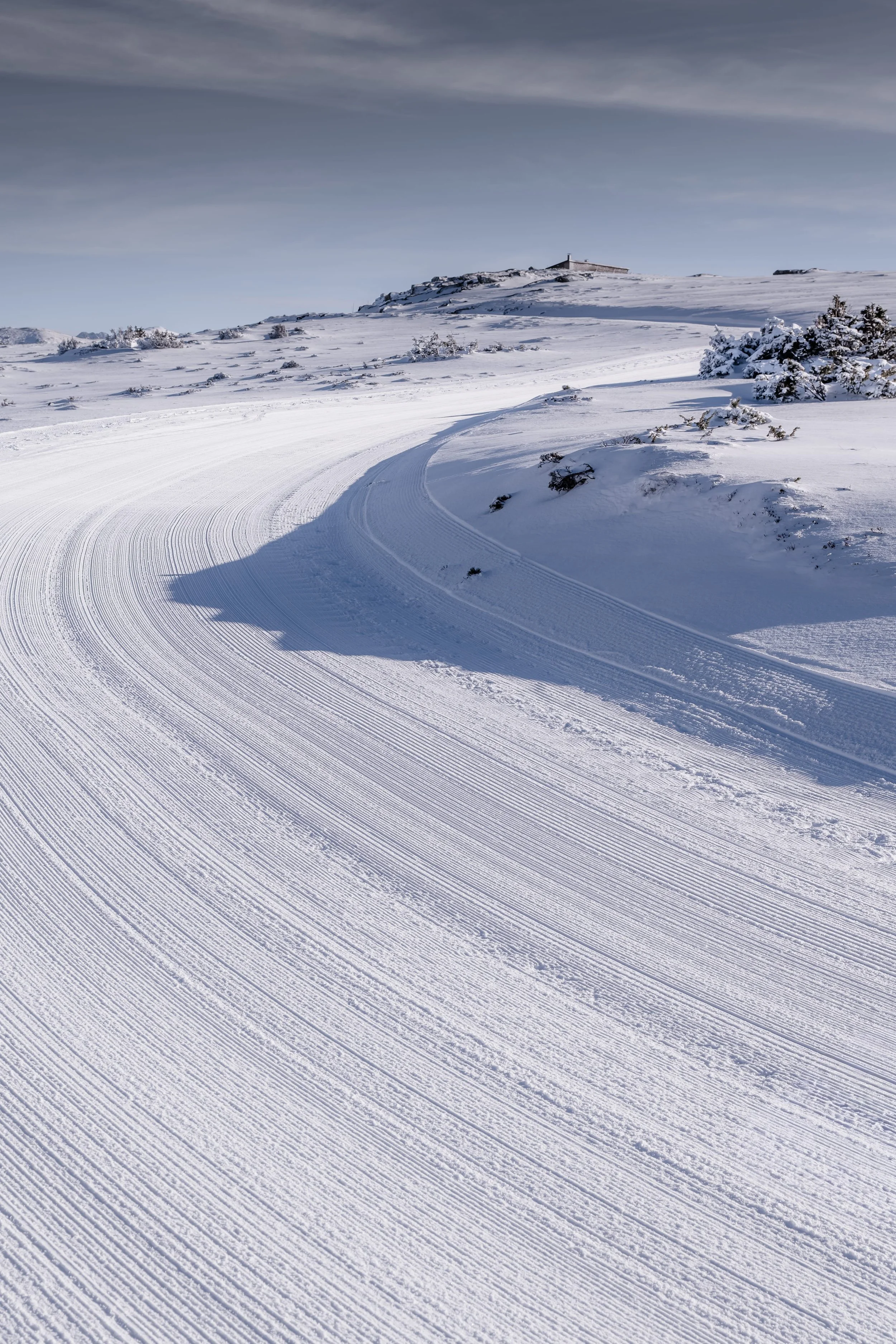 DZ5_0898-DxO_DeepPRIME 3_insta-nano.jpg