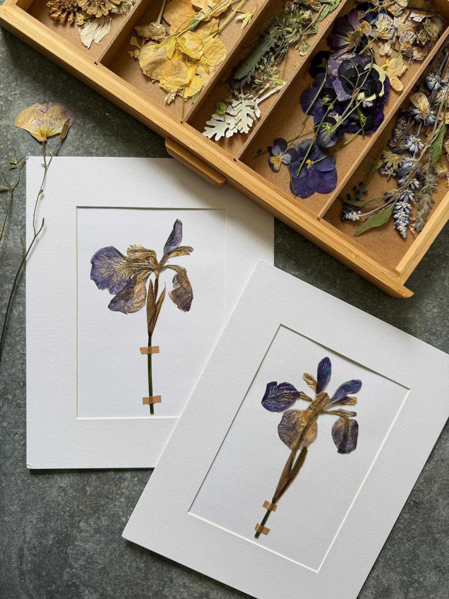Join us at @neighborlybooksmaryville this evening at 5:30. There, amid the warmth of literary charm, you&rsquo;ll discover our carefully curated collection of our hand pressed flower art&mdash;each piece a testament to the enduring beauty found in ou