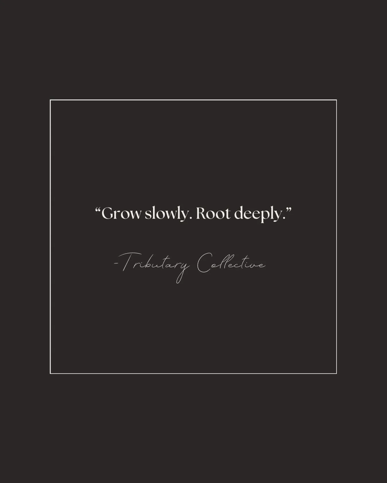 Some things can&rsquo;t be rushed. 🌱 Whether it&rsquo;s a garden, a home, or a life well-lived &mdash; the most beautiful things grow slowly and root deeply.
#GrowSlowly #RootDeeply #TributaryCollective #IntentionalLiving #SlowHome