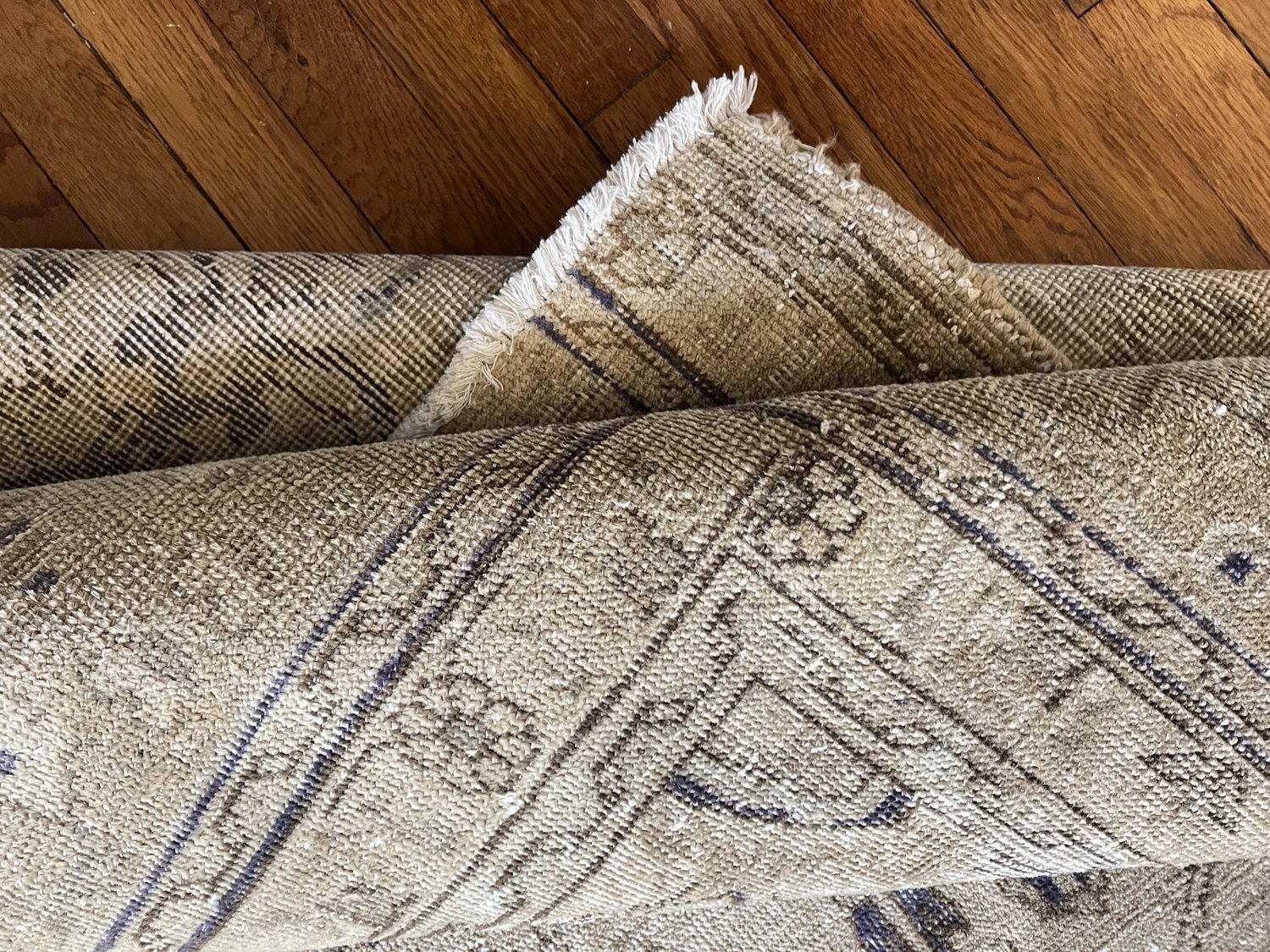 Rug 1.jpg