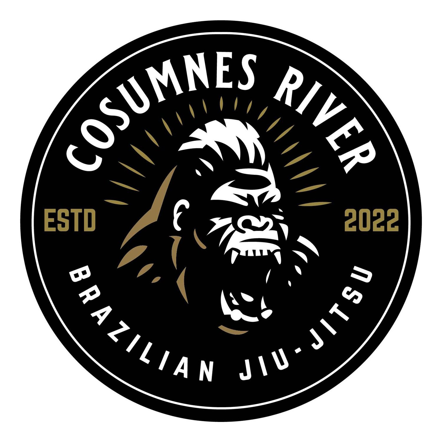 Cosumnes River BJJ