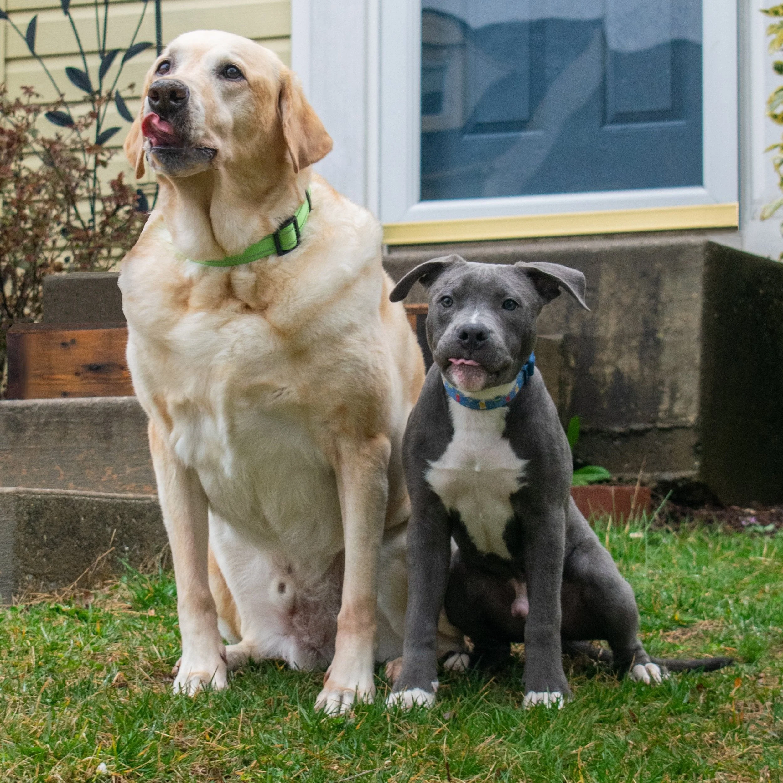 Rosco2023-19.jpg