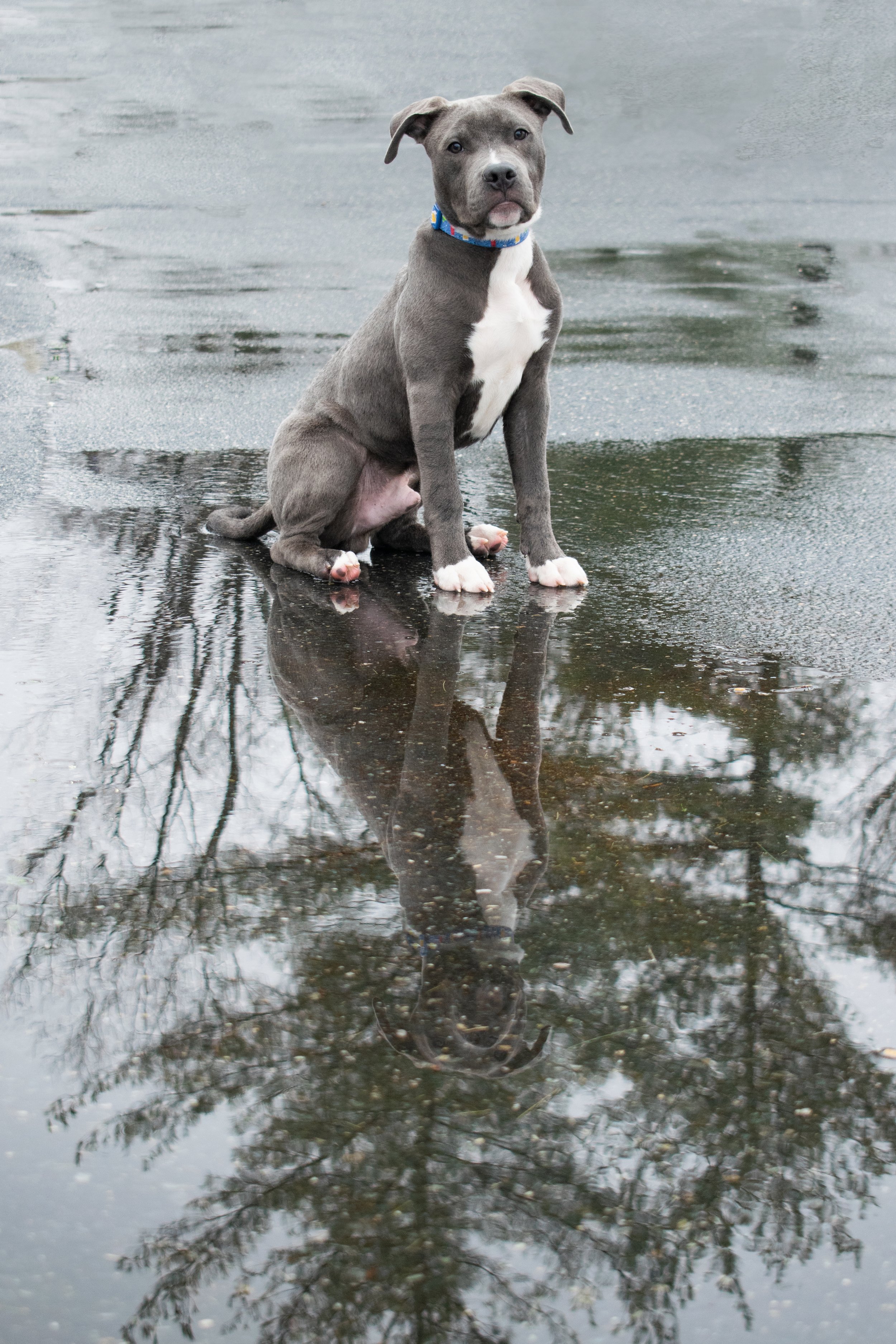 Rosco2023-12.jpg