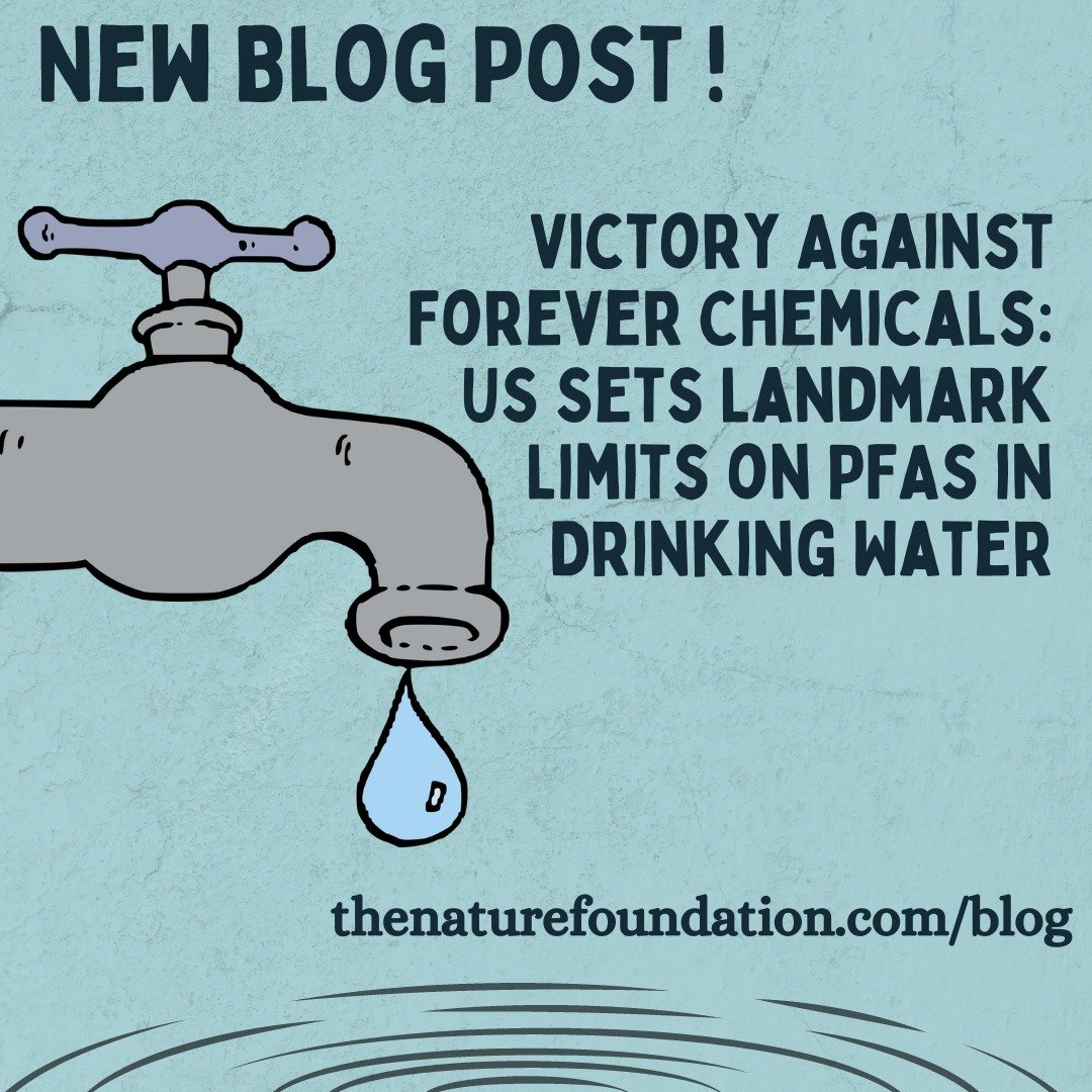 🚨NEW BLOG POST🚨
The Unites States government set strict limits on PFAS or &quot;forever chemicals&quot; in drinking water to prevent a number of side effects the pollutants cause, benefiting people and the environment!

Read full article: https://w