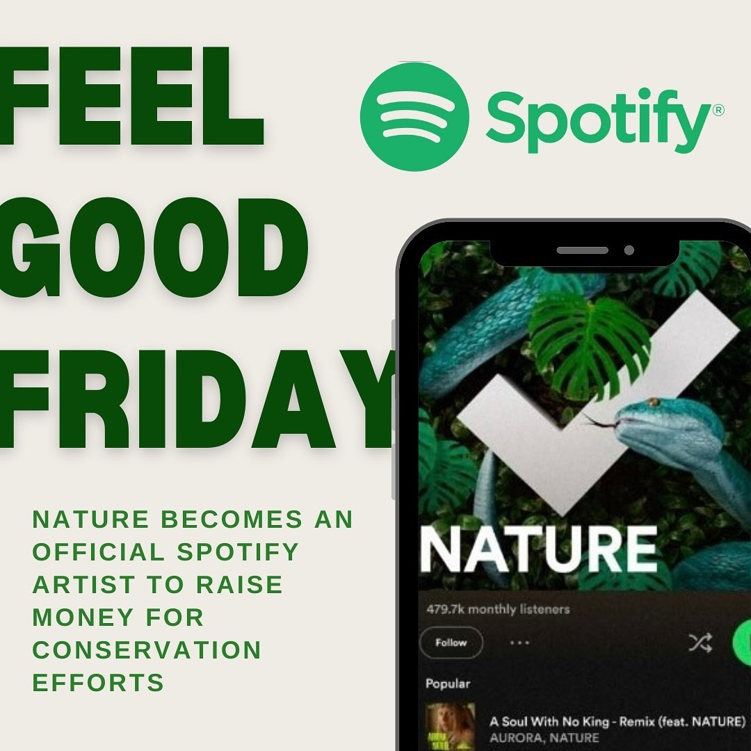 Exciting news! @spotify is making nature an official artist, which makes it easy for you to raise money for conservation!

How you may ask? Well, 50% of all streaming earnings will be donated towards conservation efforts!🌿💰 Every stream counts towa